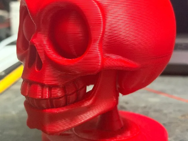 Skull