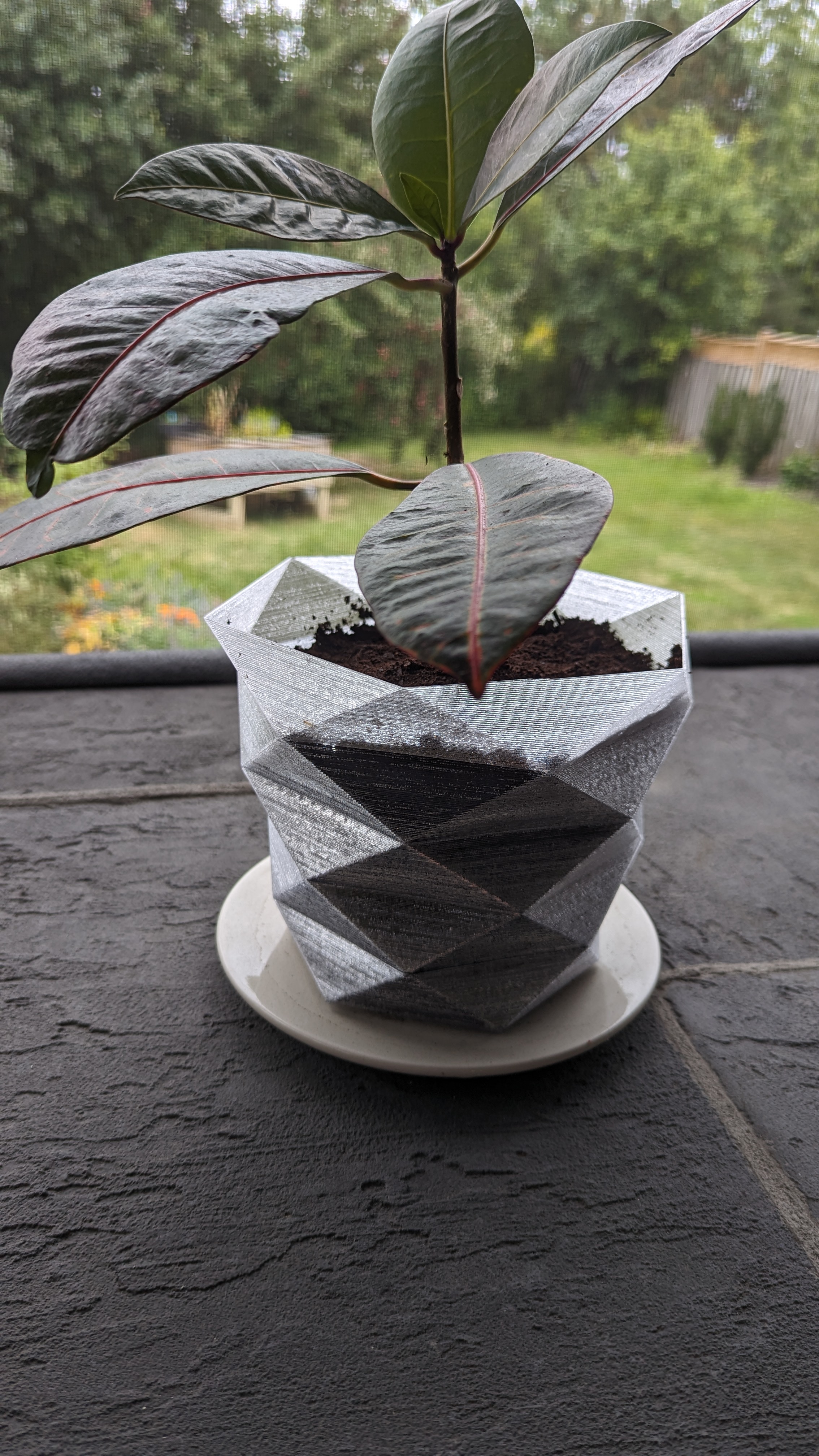 Wavy Hex Vase