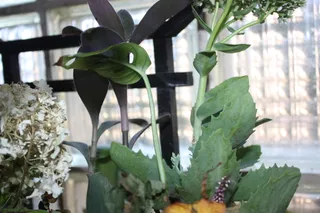 Spiral anzucht Planter