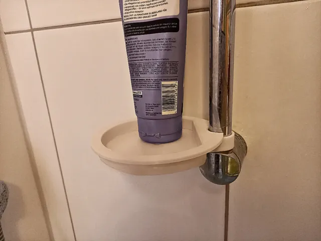 soap dish for shower rail grohe