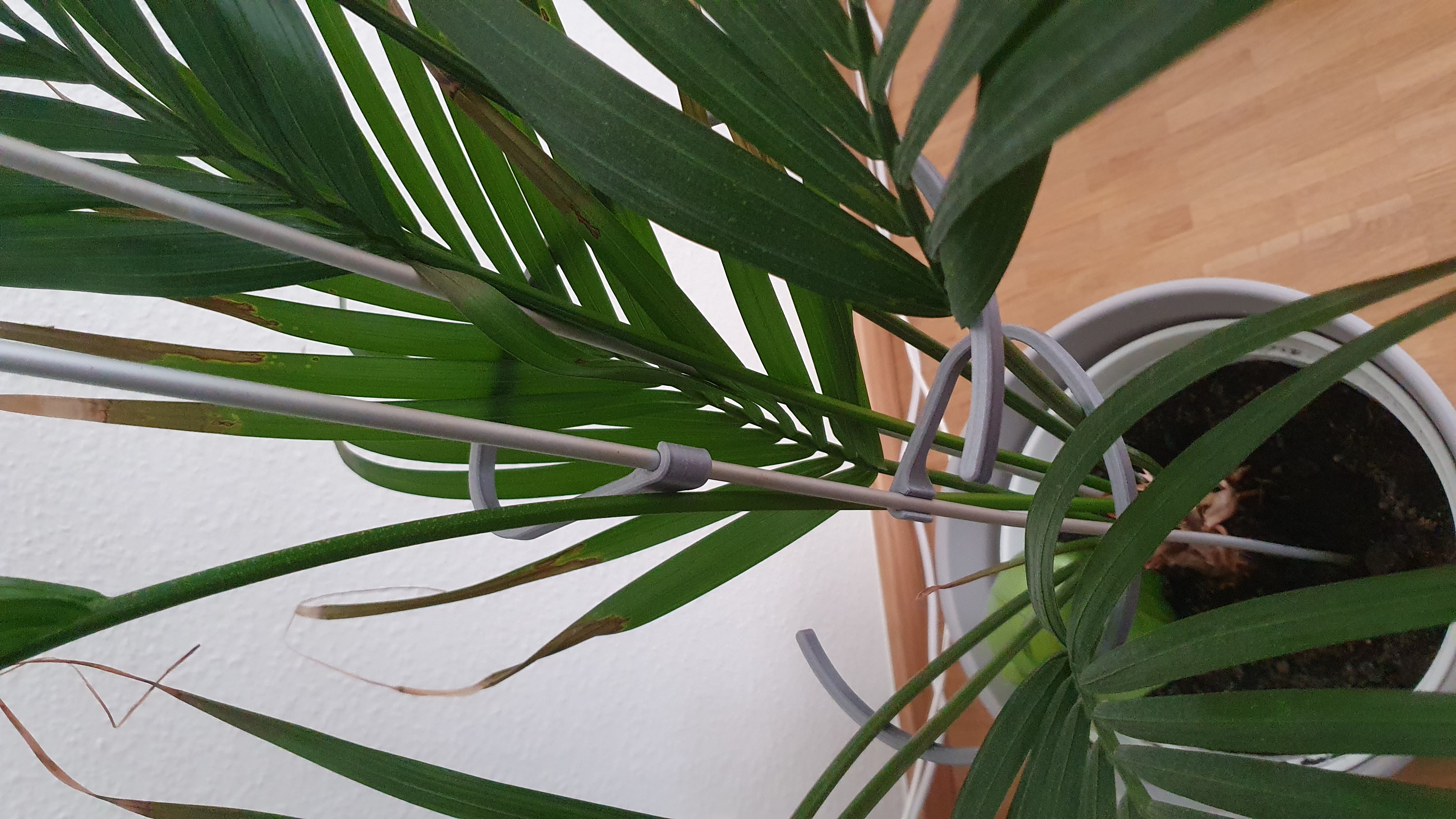 Miniatura 2 do modelo 3D Plant support ring