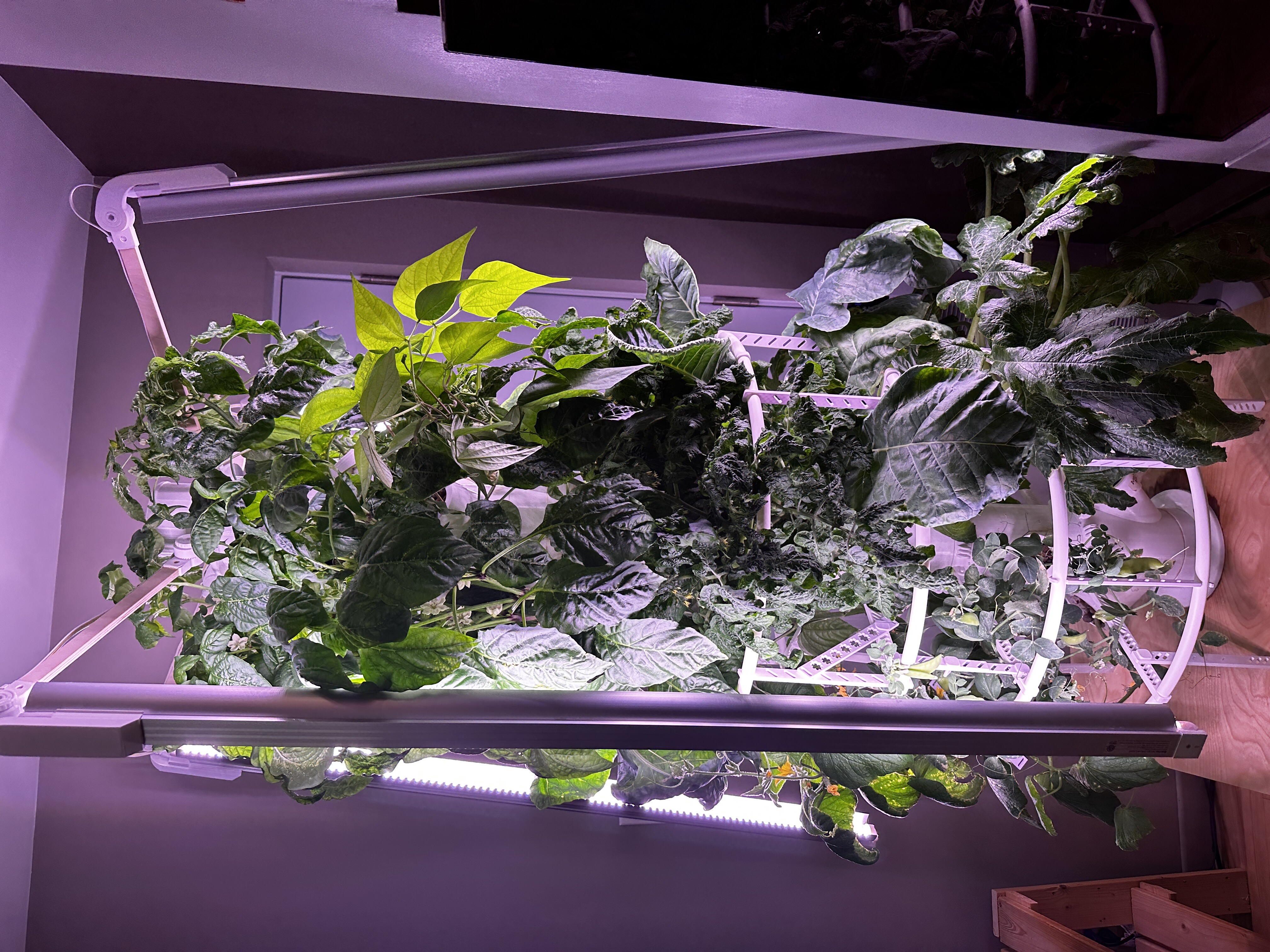 Hydroponics Tower