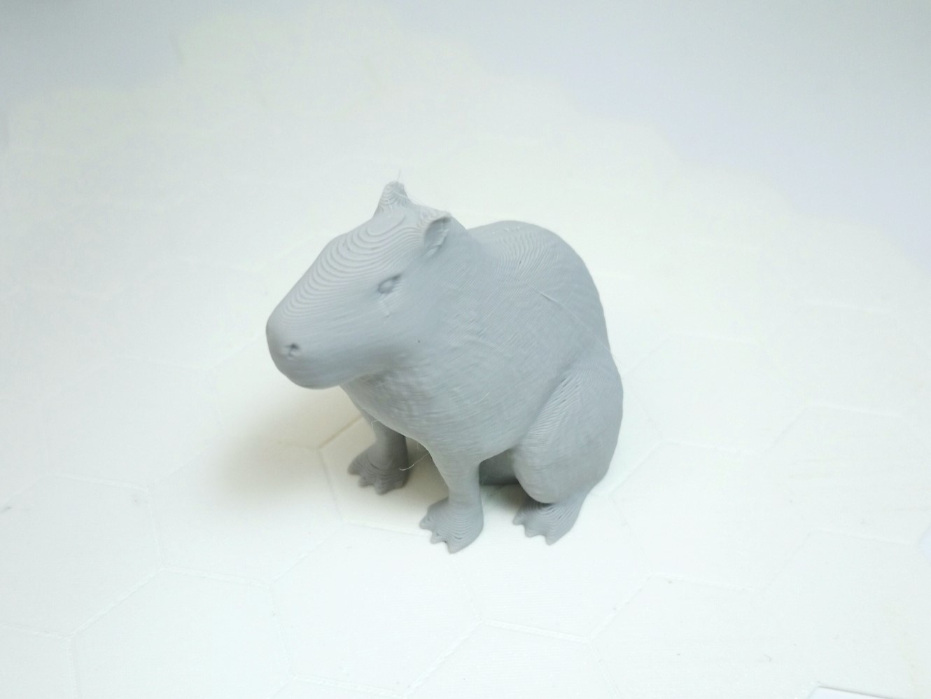 Sitting Capybara