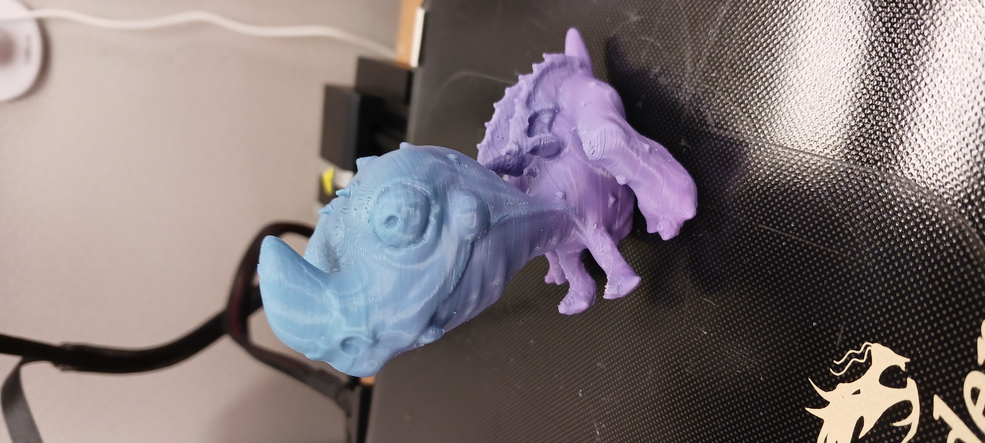 Cute Dragon