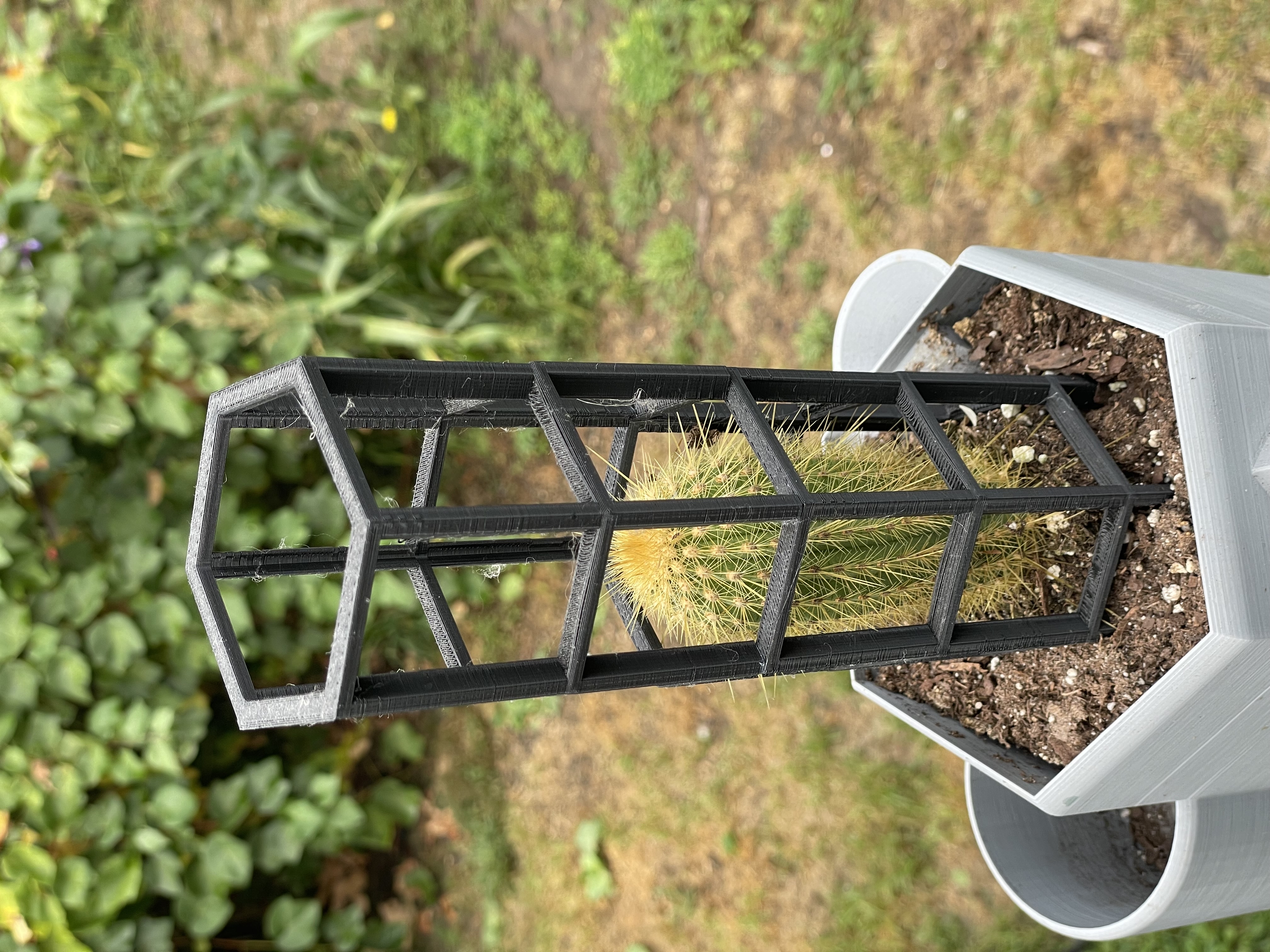Simple Cactus Support