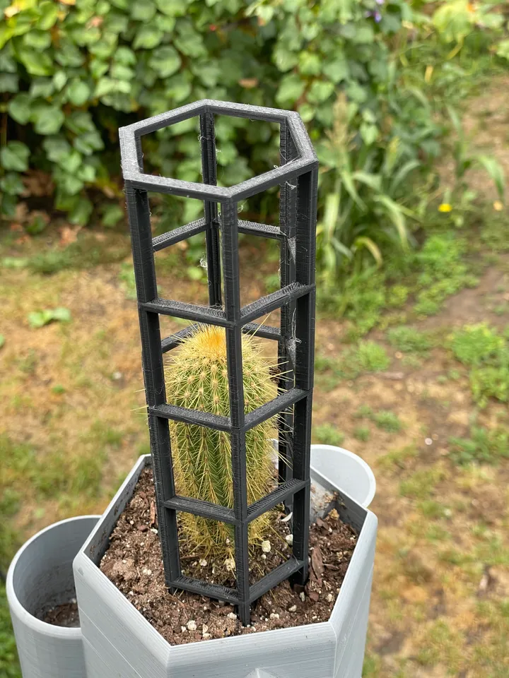 Simple Cactus Support by Joe1038h | Download free STL model | Printables.com