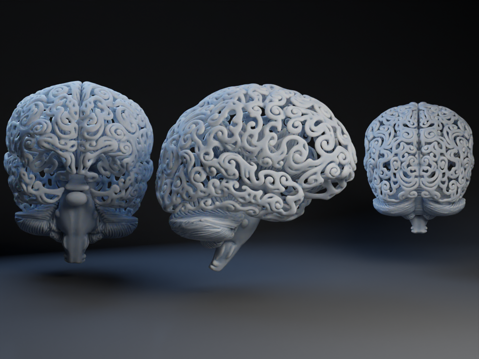 Decorative Brain