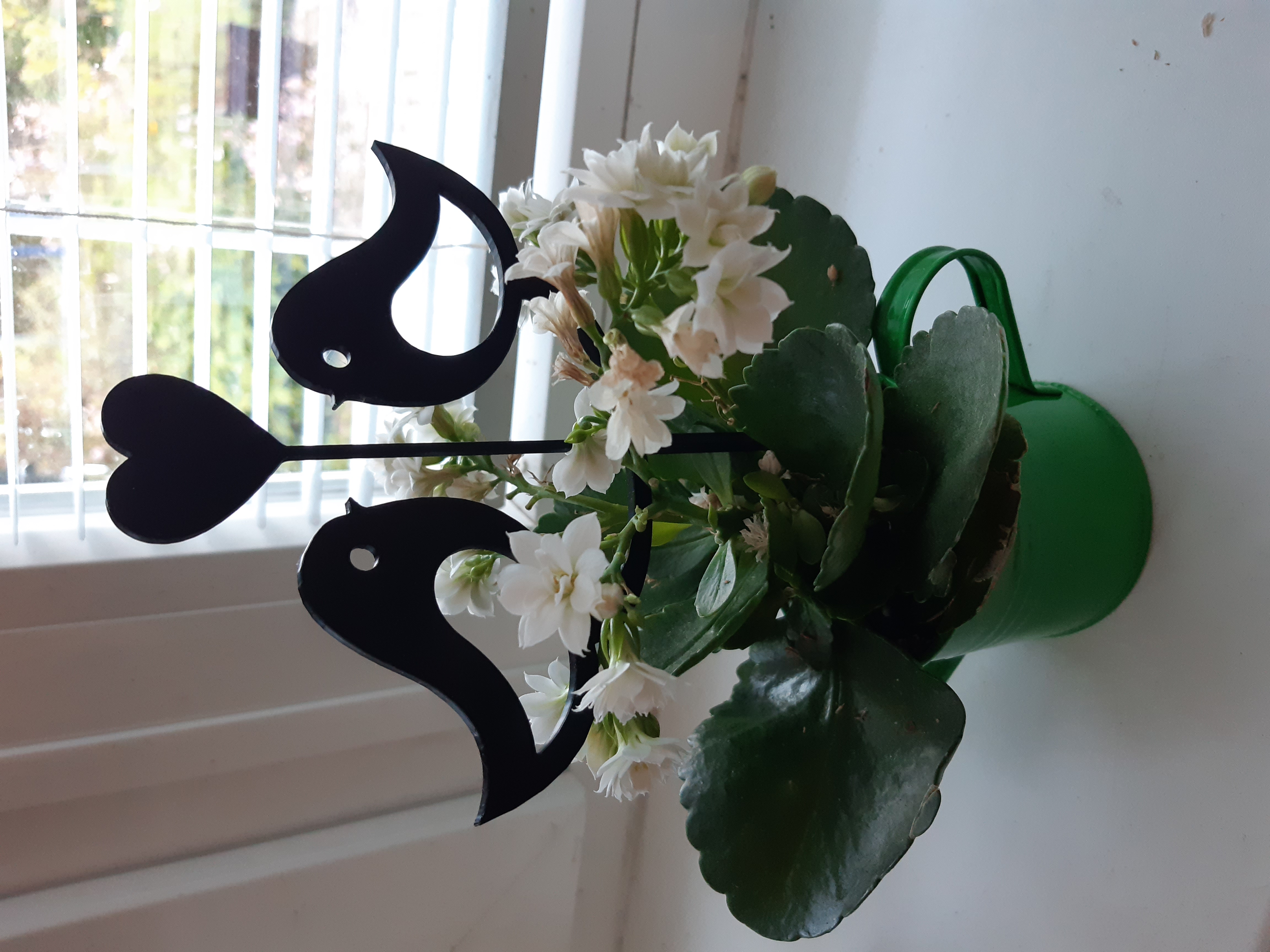 Birds (small plants support)