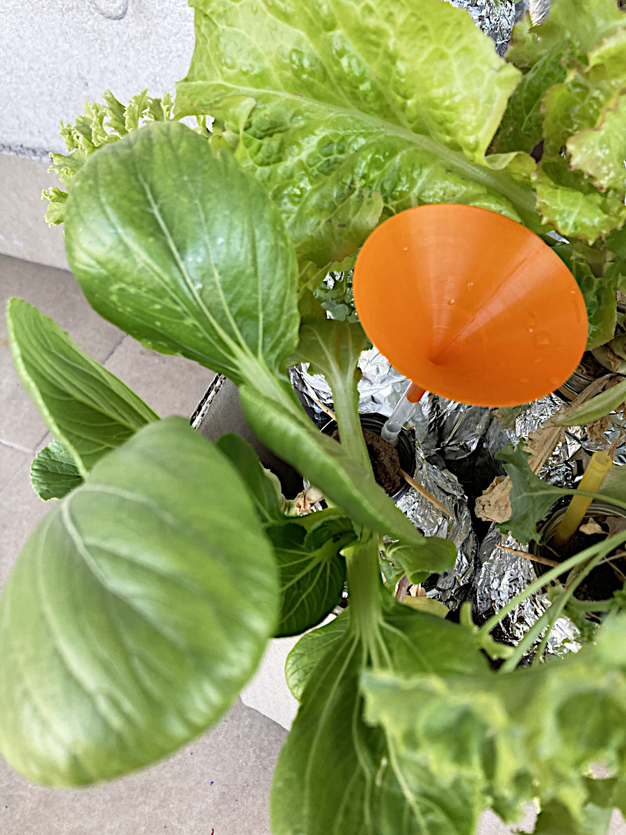 Tiny Funnel That Fits 6mm Disposable Straw for Kratky Hydroponics By Tiny funnel that fits 6mm disposable straw for kratky hydroponics by