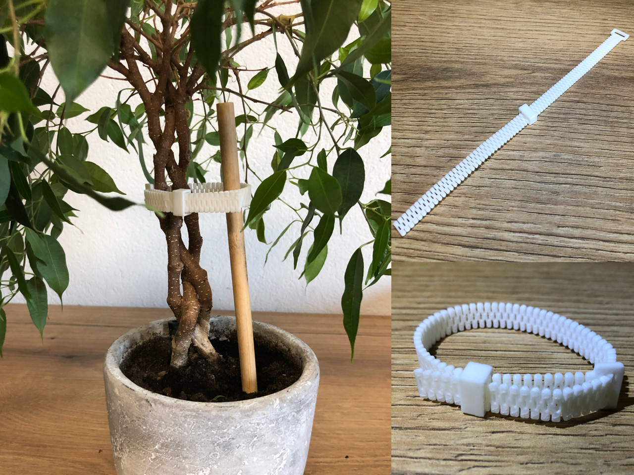 Plant strips