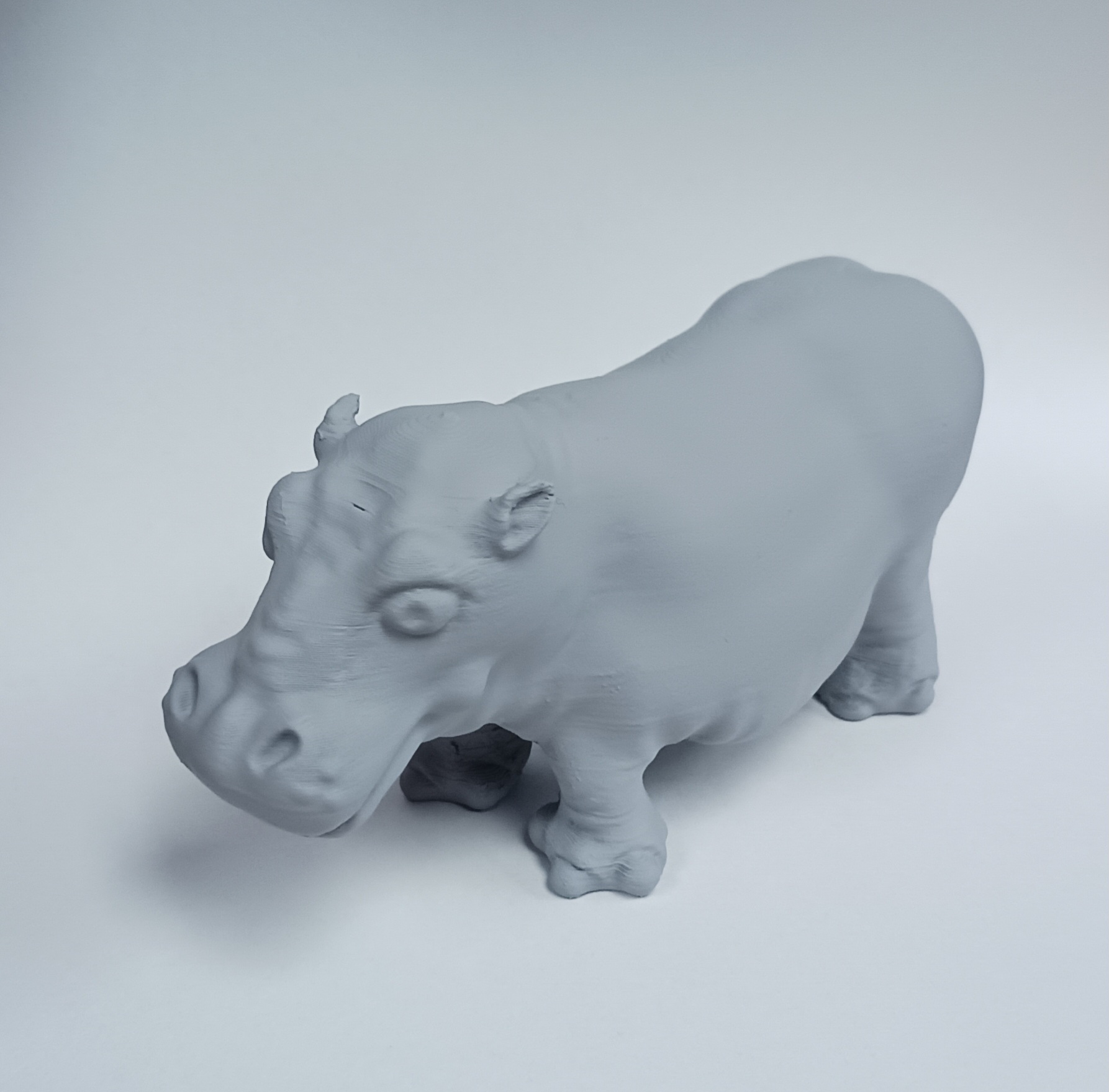 Hippo