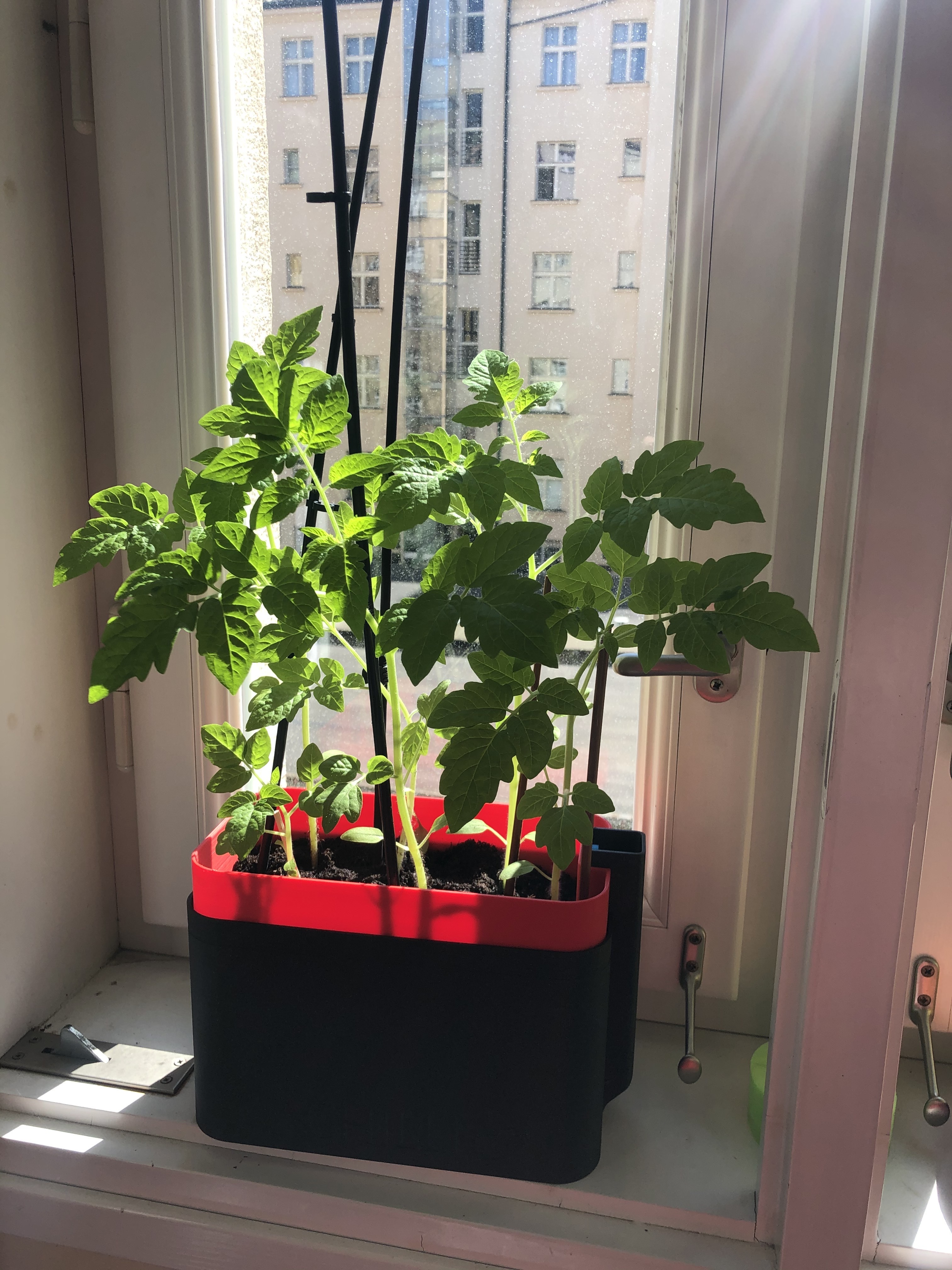 Miniatura 5 do modelo 3D Self-watering rectangular planter (with optional labels)