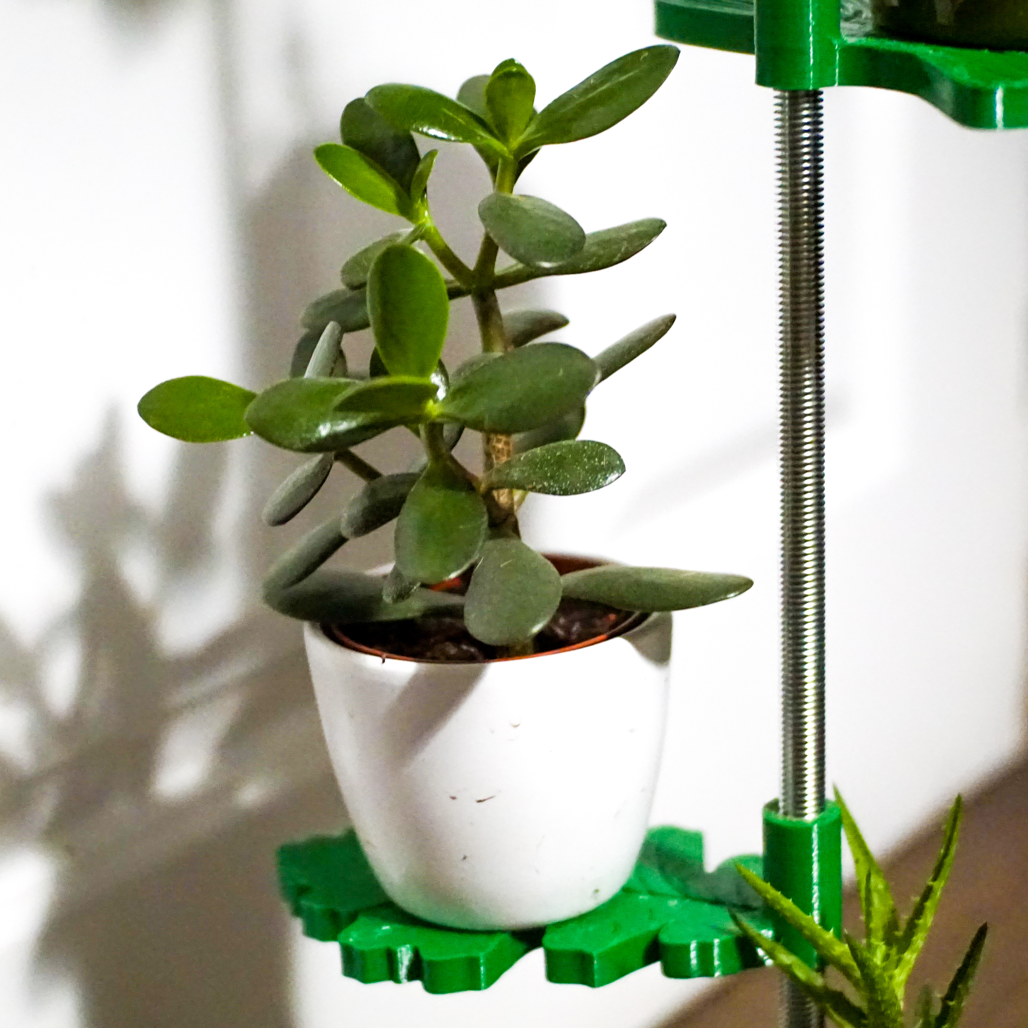 Plant Plant Stand