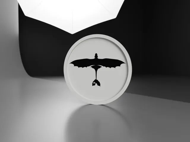 How to train your dragon - Toothless Top Profile coaster 2 Colours!