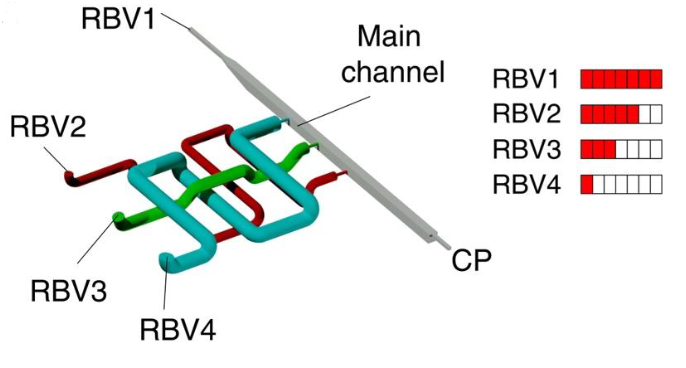 Monolithic  3D  printed  microfluidic chip  with  embedded  conduits  with  circular  cross-sections