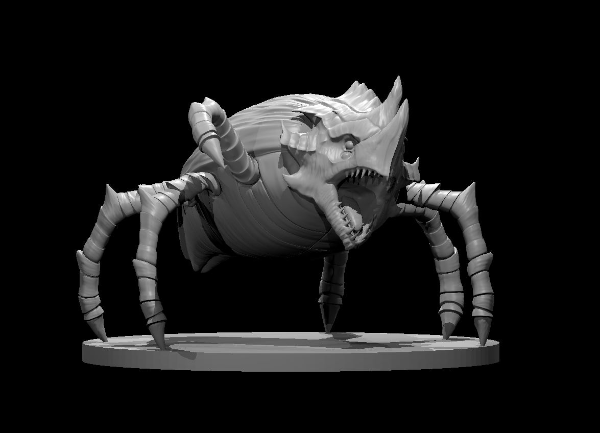 Carrion Beetle