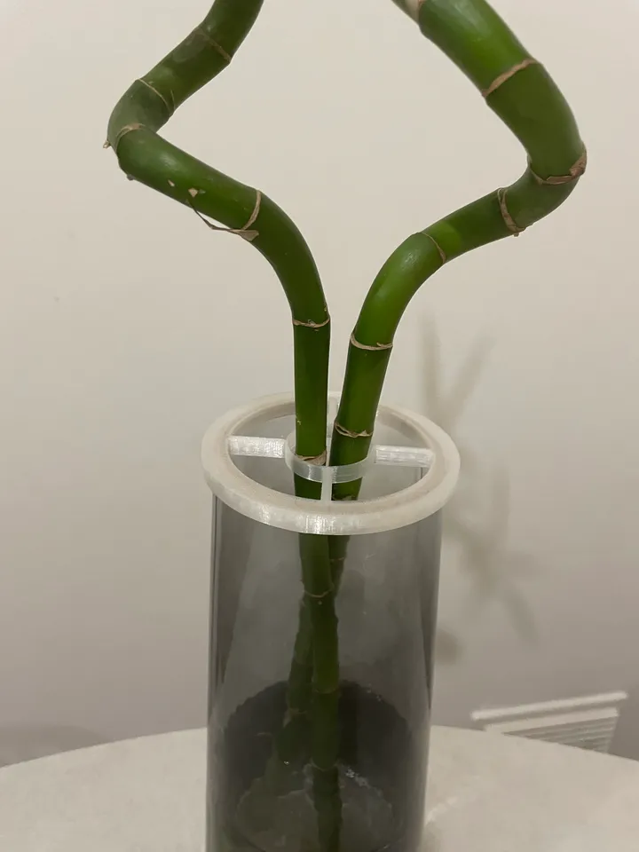 Lucky bamboo holder by Alessandro | Download free STL model | Printables.com