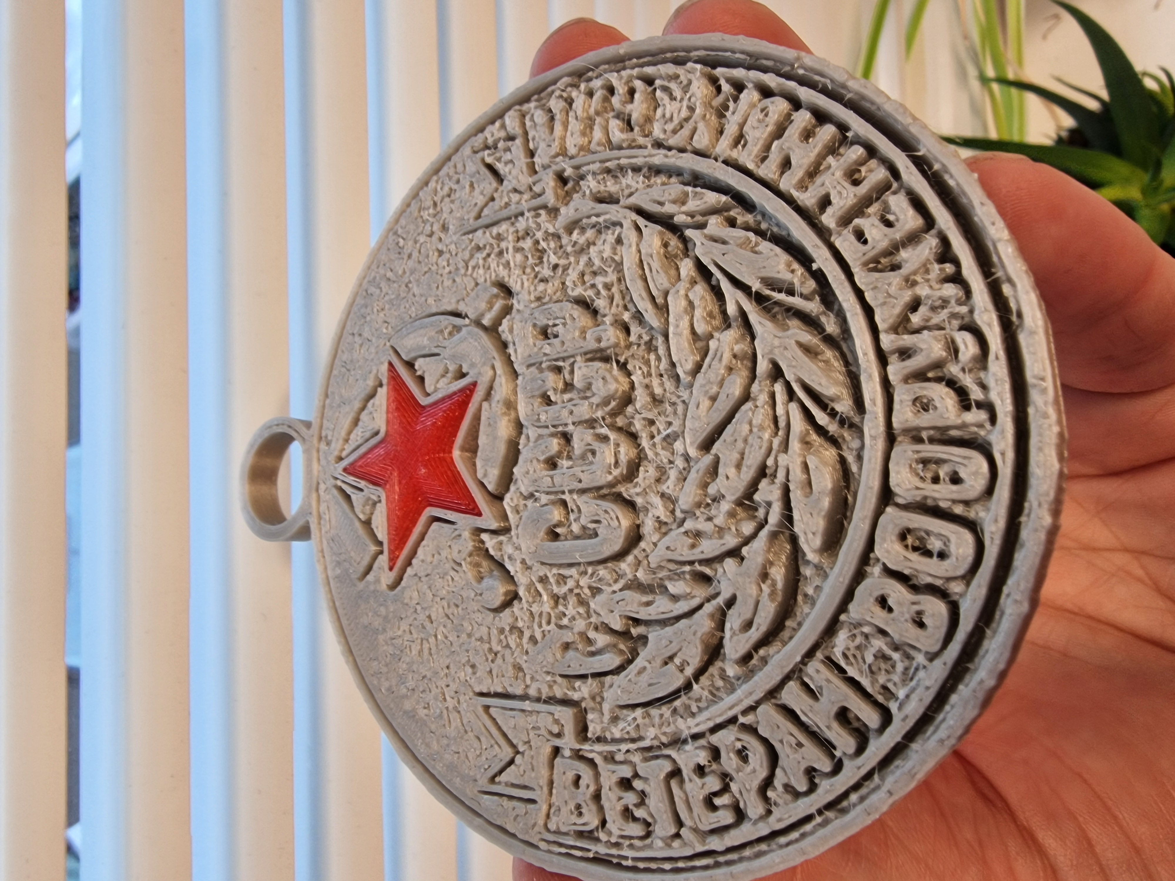 VETERAN CCCP MEDAL
