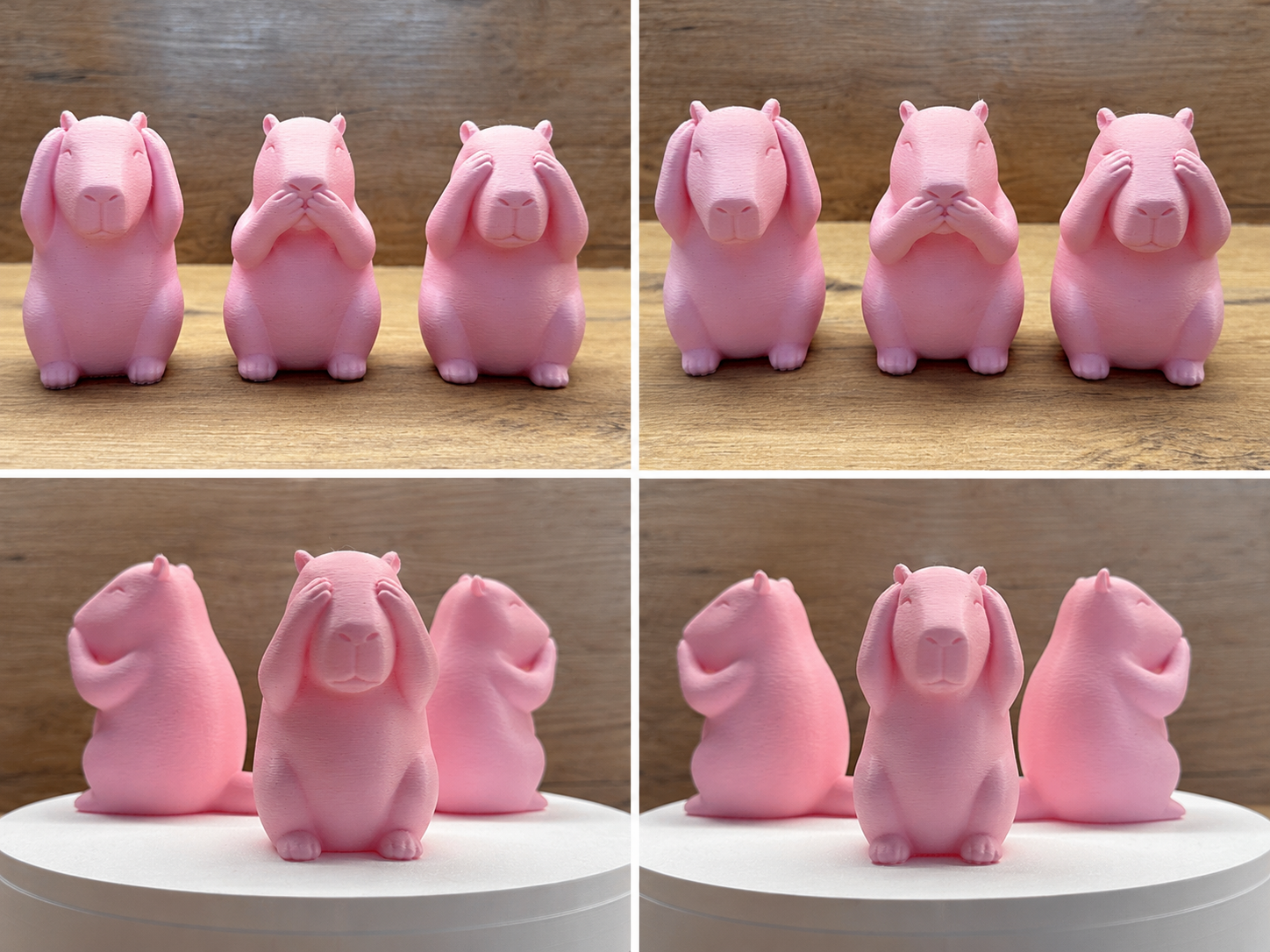 Capybara Trio – See No Evil, Hear No Evil, Speak No Evil
