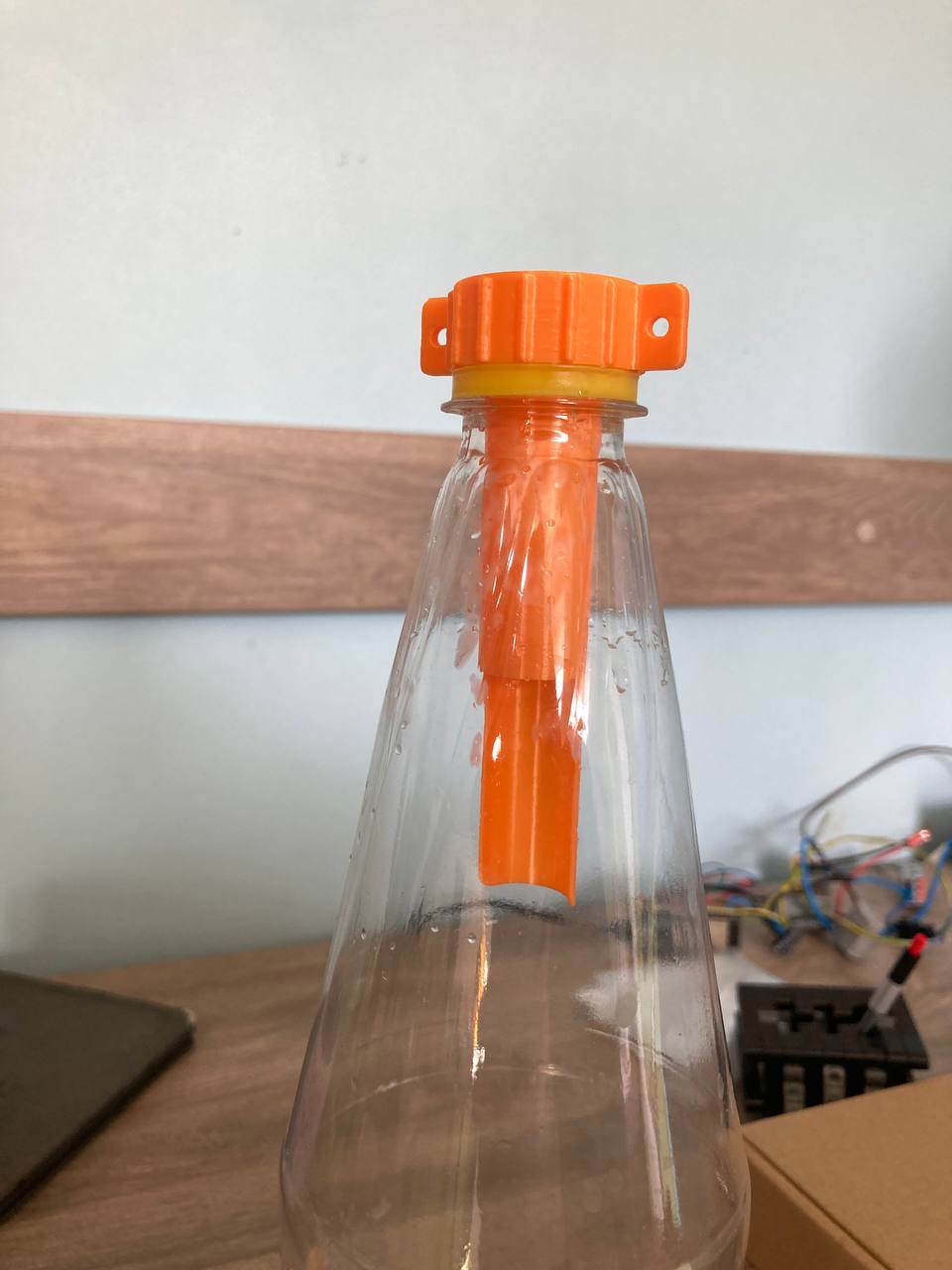 Bottle cap — Hornet, Wasp, Fly, Insects Trap