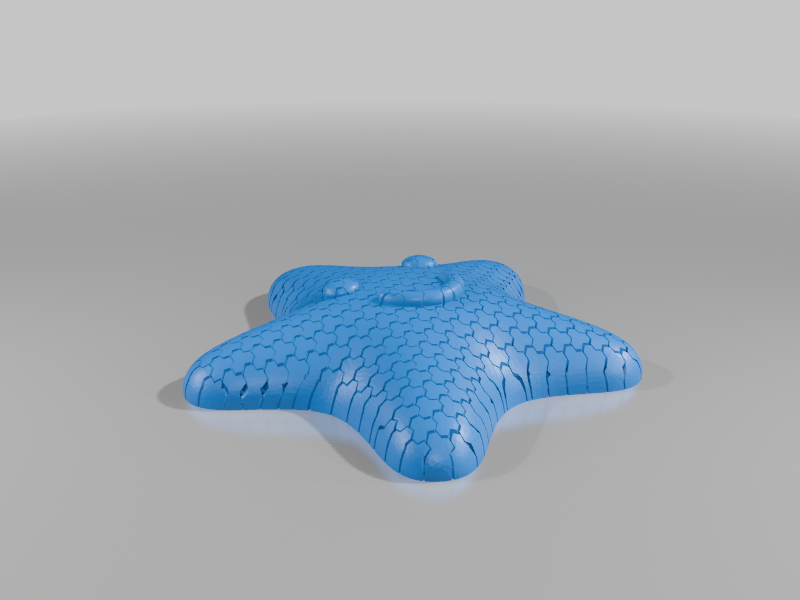 SeaStar Fidget