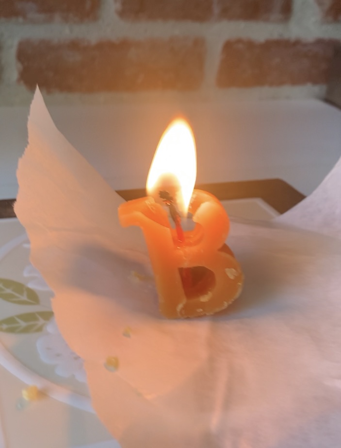 Bitcoin Halving Candle by Grunkle_Bitcoin Download free STL model