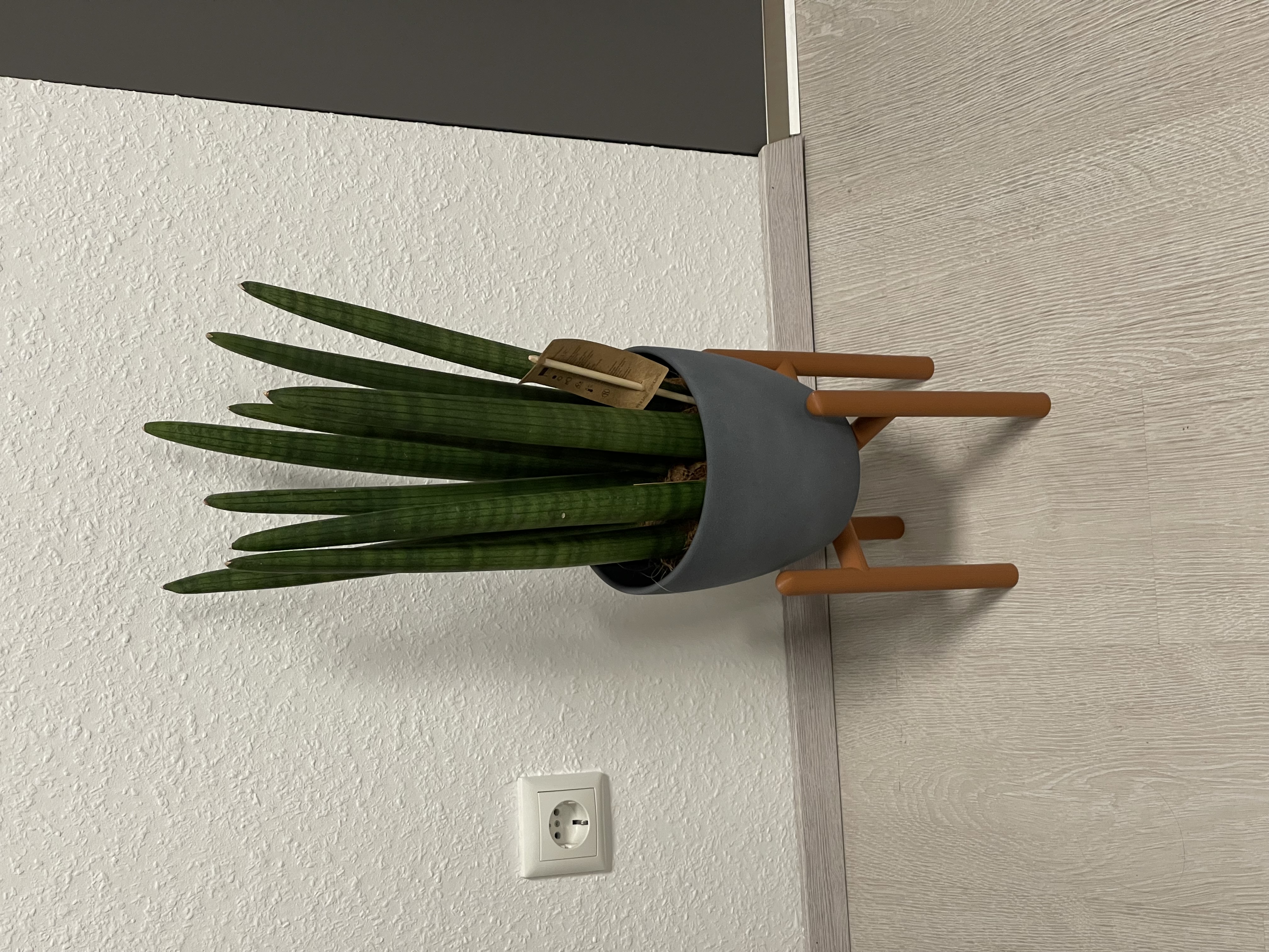 Minimal Modern Plant Stand