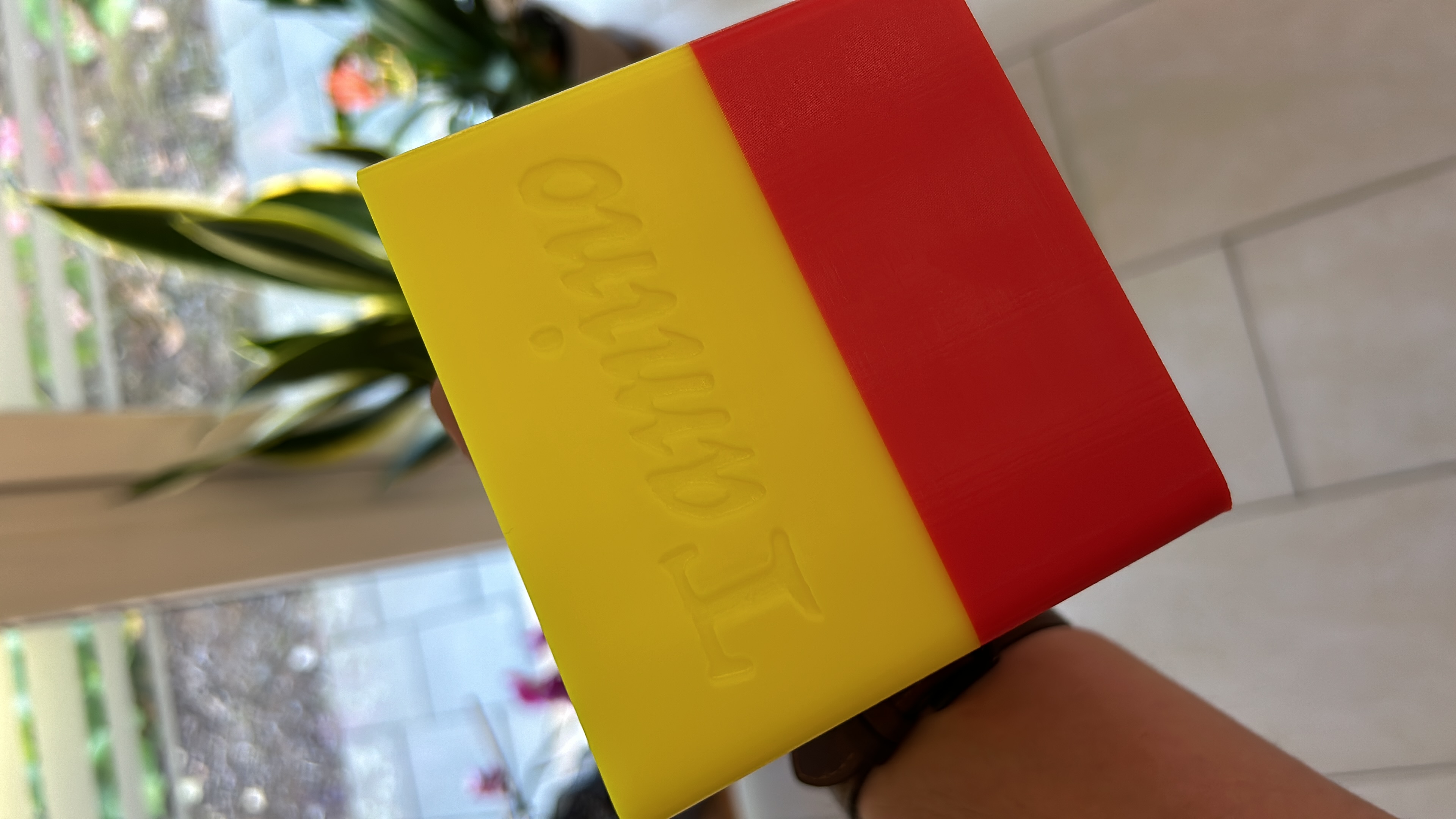 Lenkerkorb Für Hunde - Abnehmbarer Fahrradkorb Für Kleine Haustiere