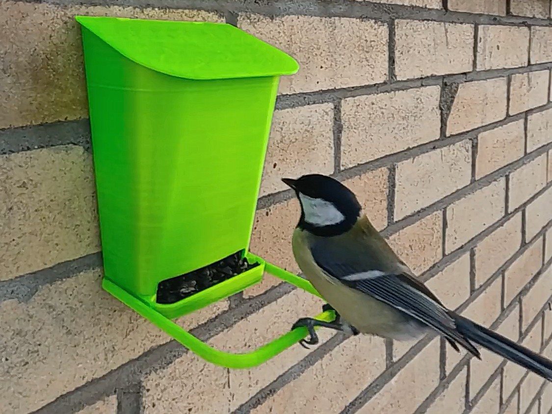 Wall bird feeder