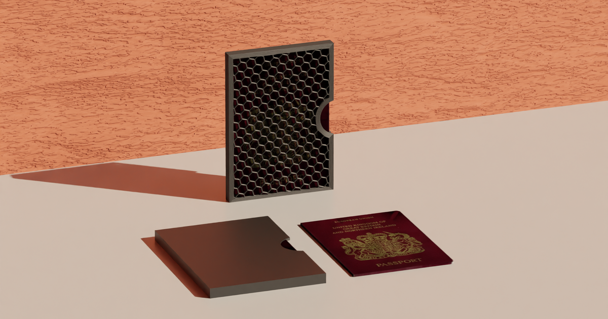 Minimalist Passport Book Cover/Case Travel Essentials by CalebTimoteo Download free STL