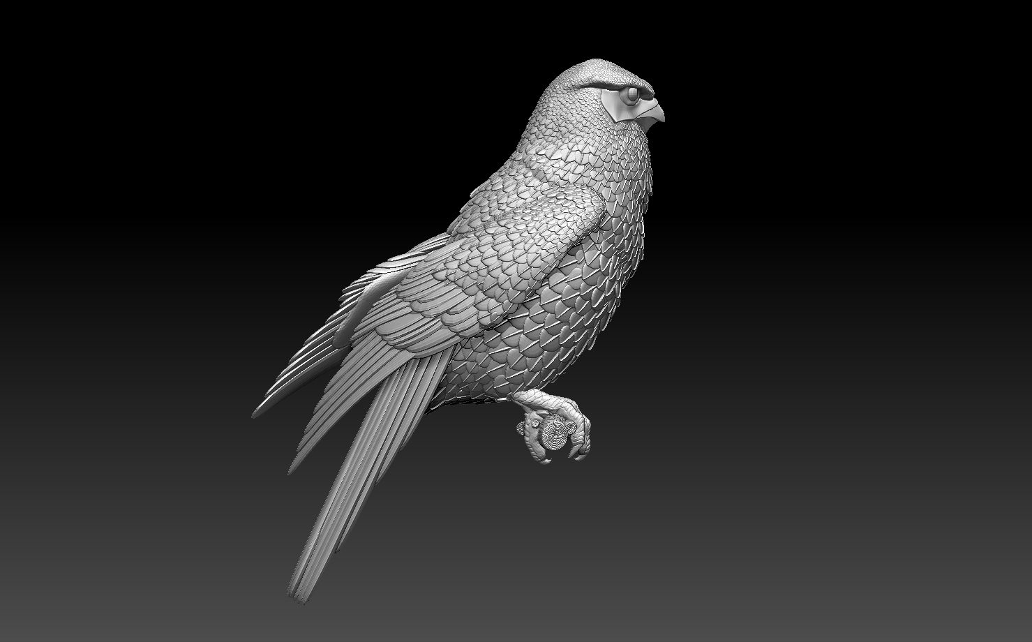 falcon