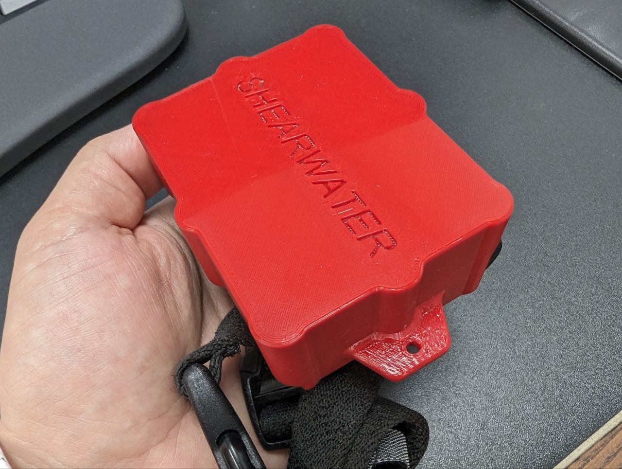 Shearwater petrel cover by Roman Zyukov Download free STL model