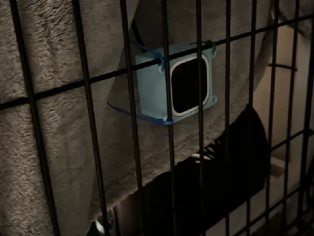 Blink Mini Dog Crate Case