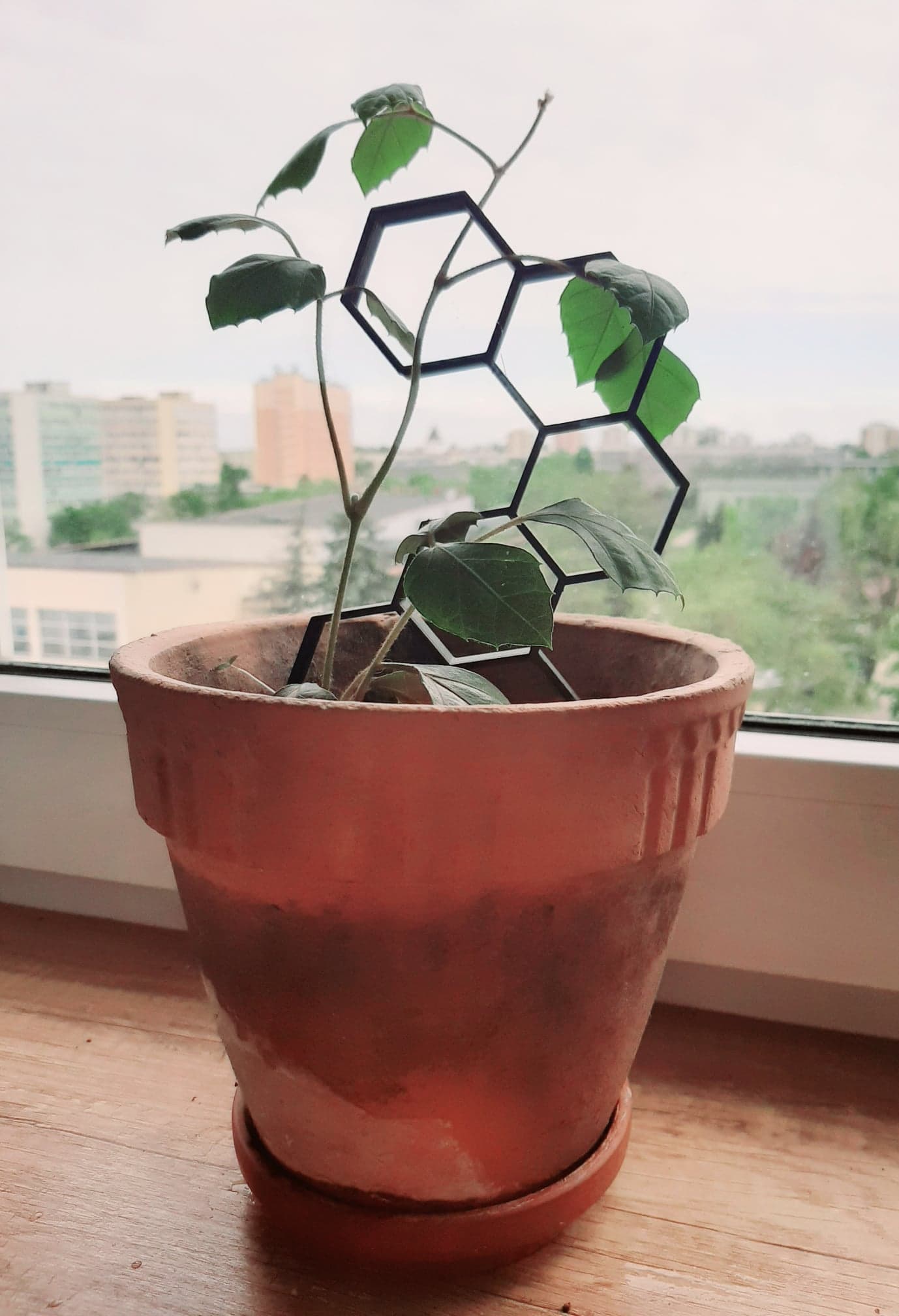 Plant support