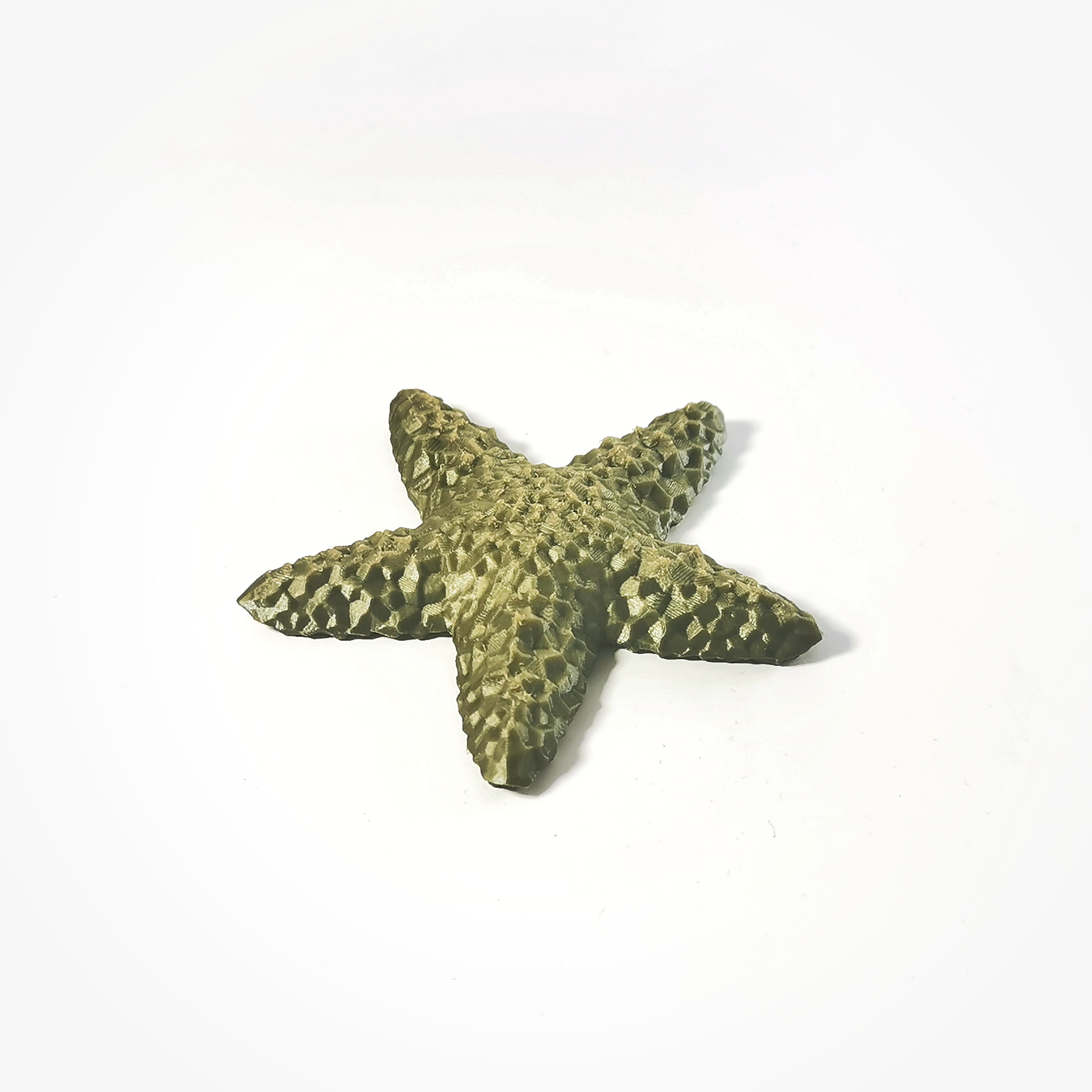 Pyrite Starfish