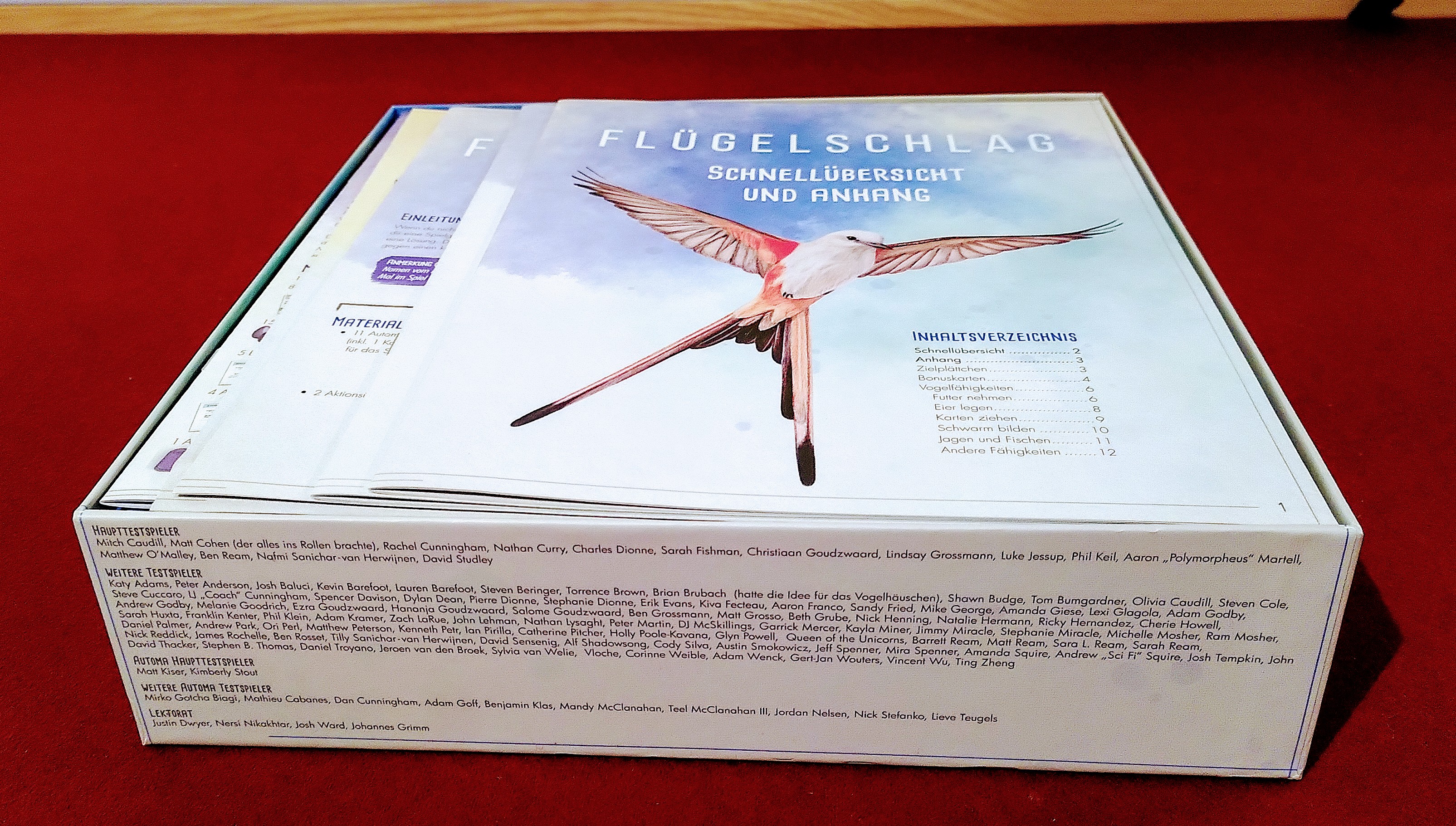 Wingspan Insert including EE&OE by swissbear Download free STL model