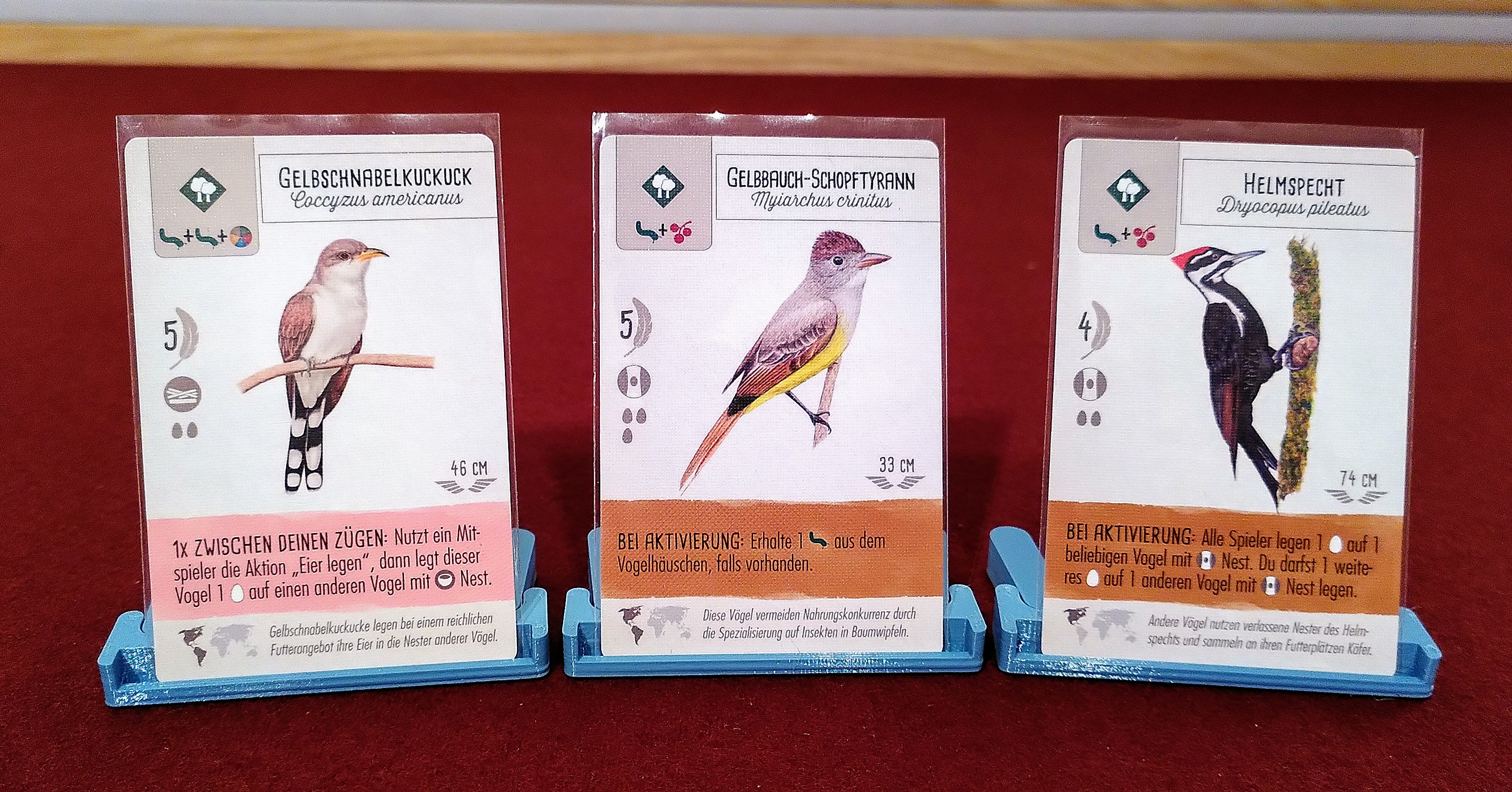 Miniatura 8 do modelo 3D Wingspan Insert including EE&OE