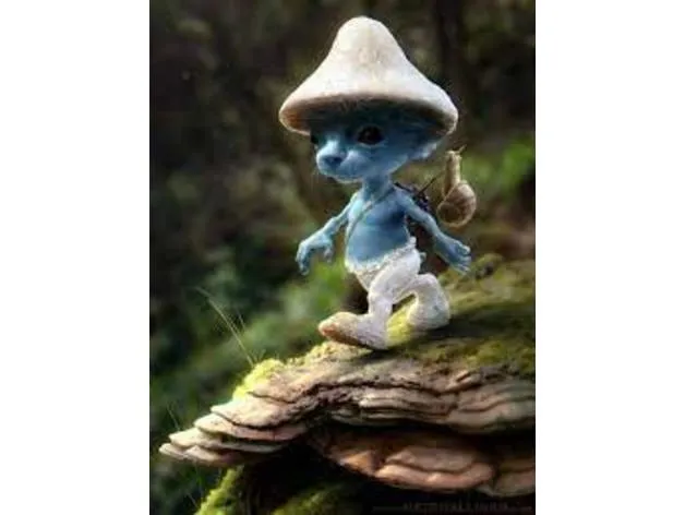 Smurf Cat Stock Photos - Free & Royalty-Free Stock Photos from