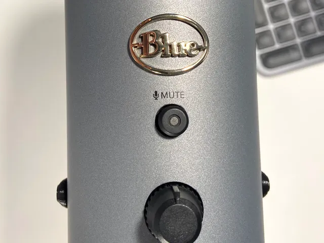 Blue Yeti side screw