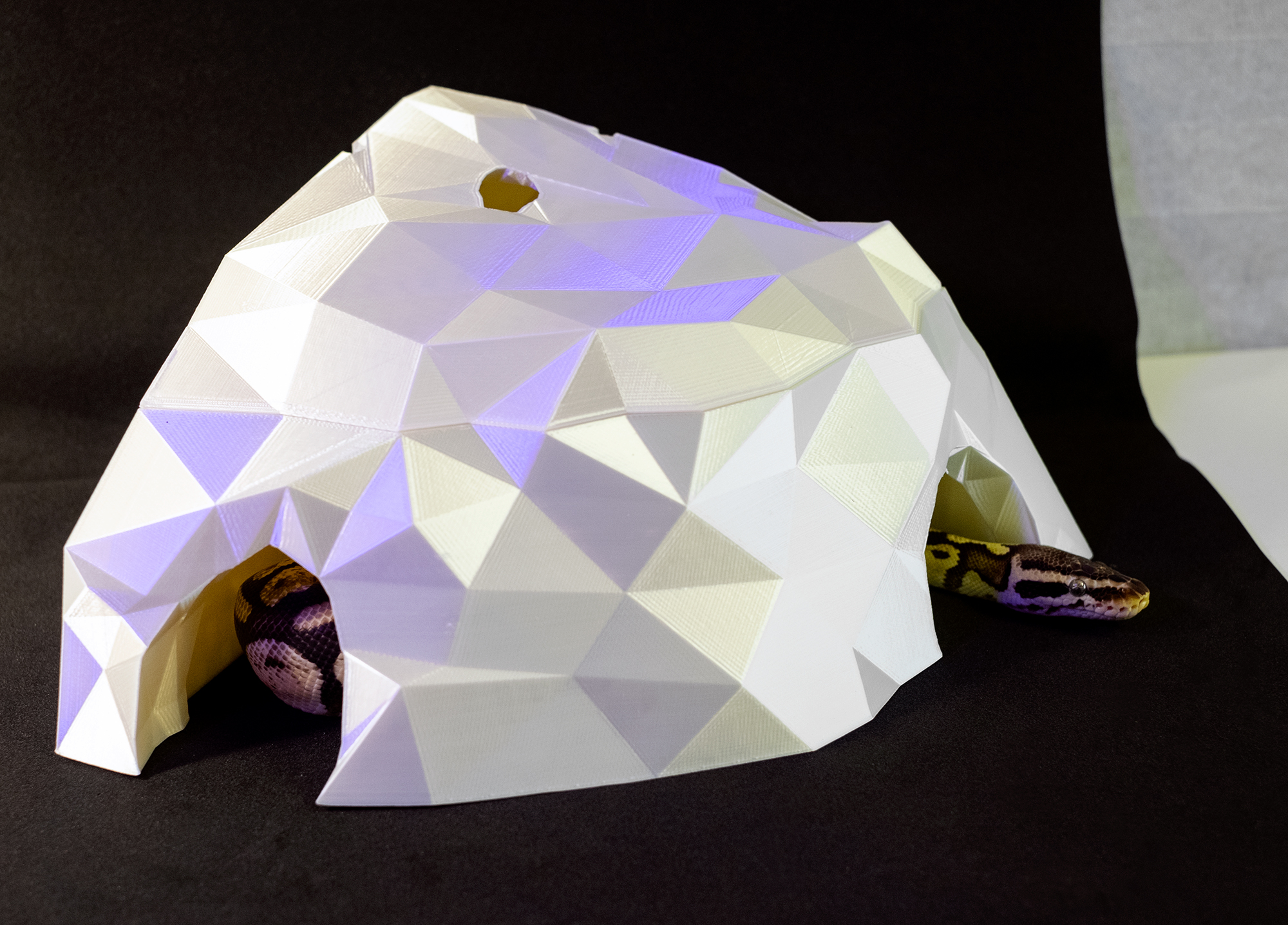 Reptiles Terrarium Hide LowPoly Rock Cave