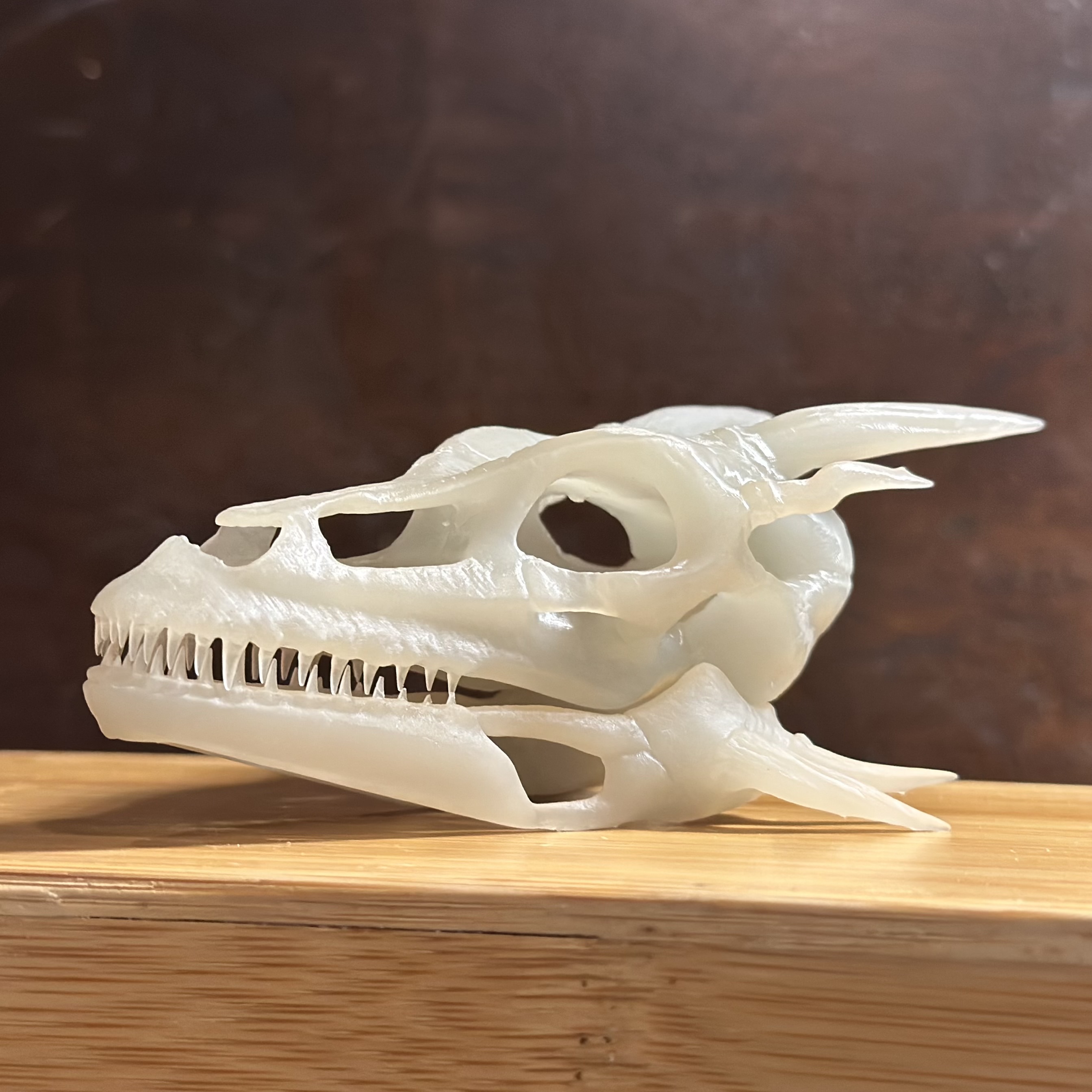 Miniatura 4 do modelo 3D Dragon Skull