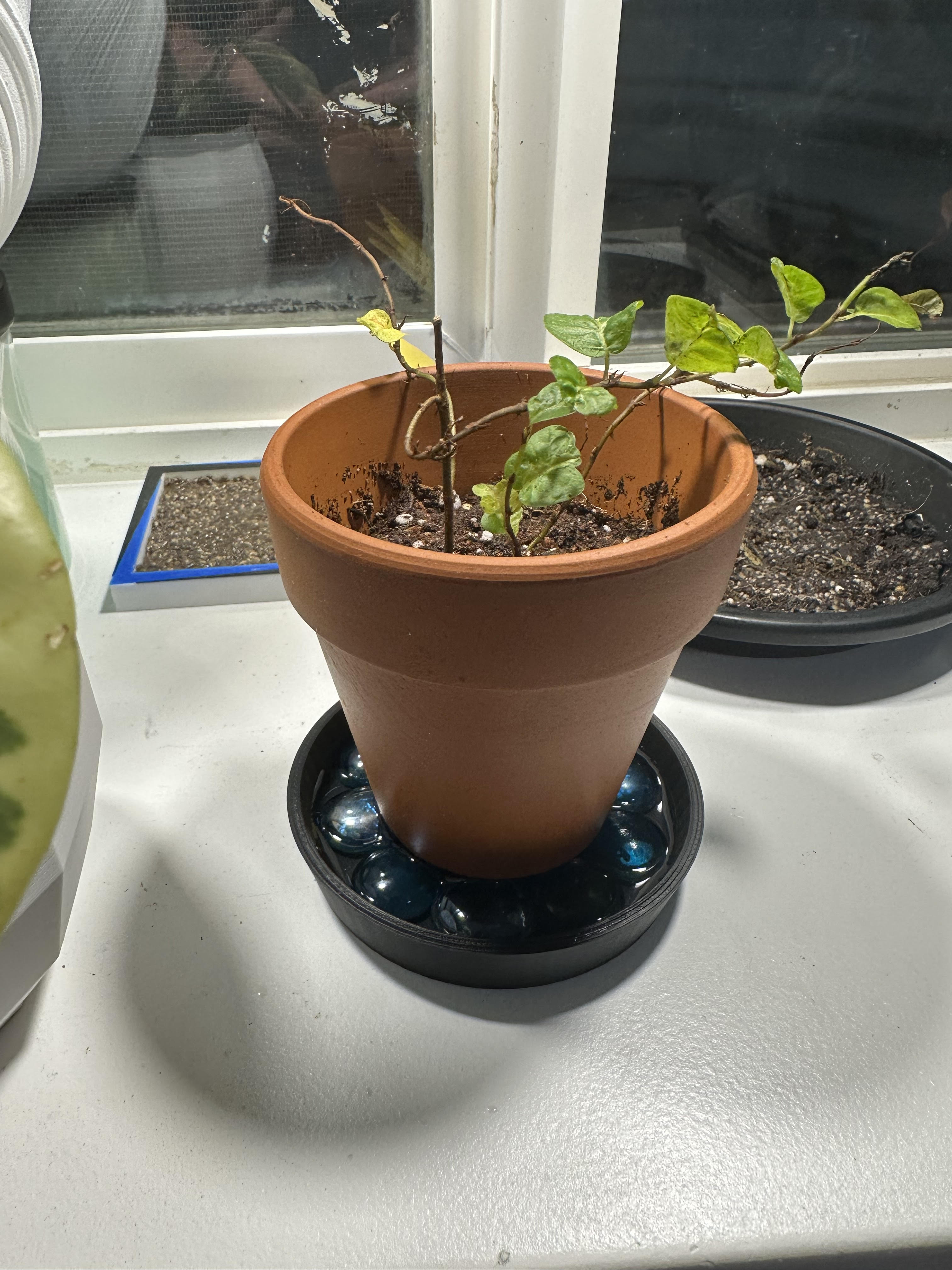 Humidity Tray / Pebble Tray / Drip Tray by Kyson Download free STL