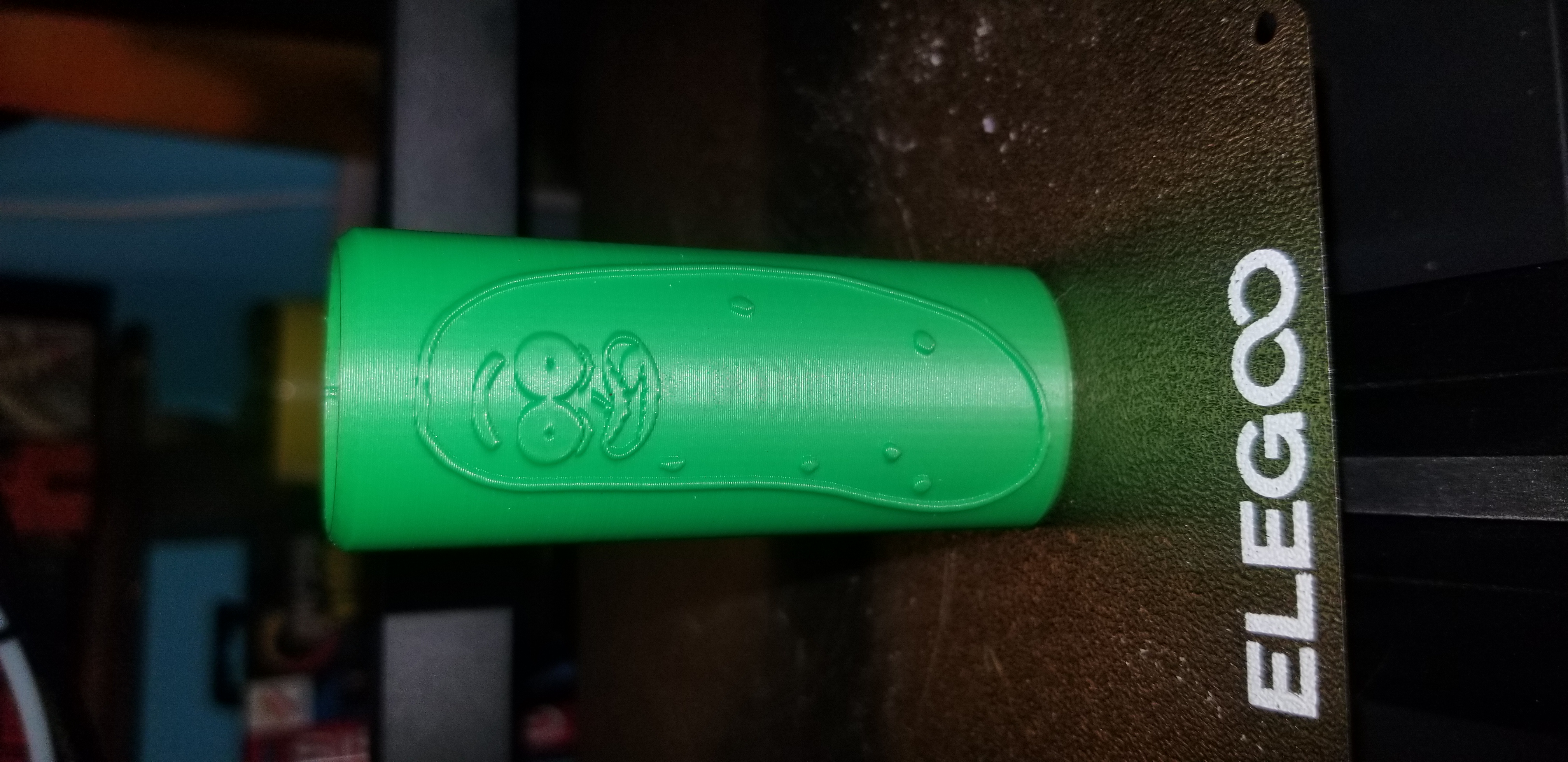 Bic Lighter Case Pickle Rick