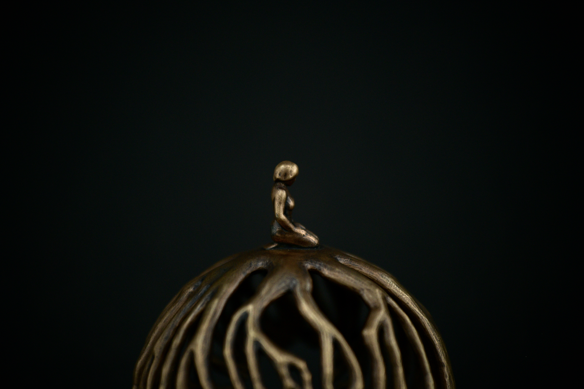 Roots — thumbnail 5