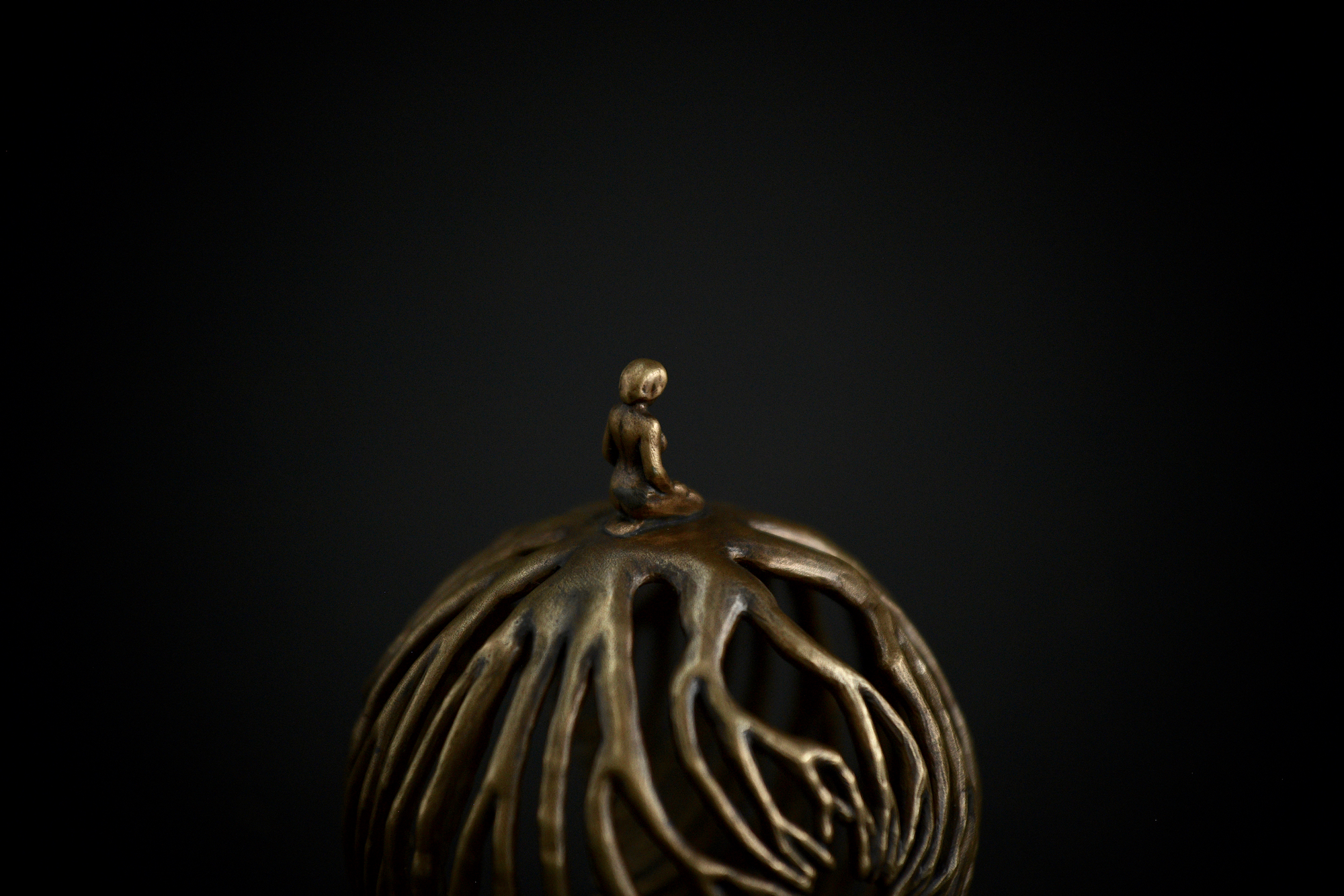 Roots — thumbnail 4