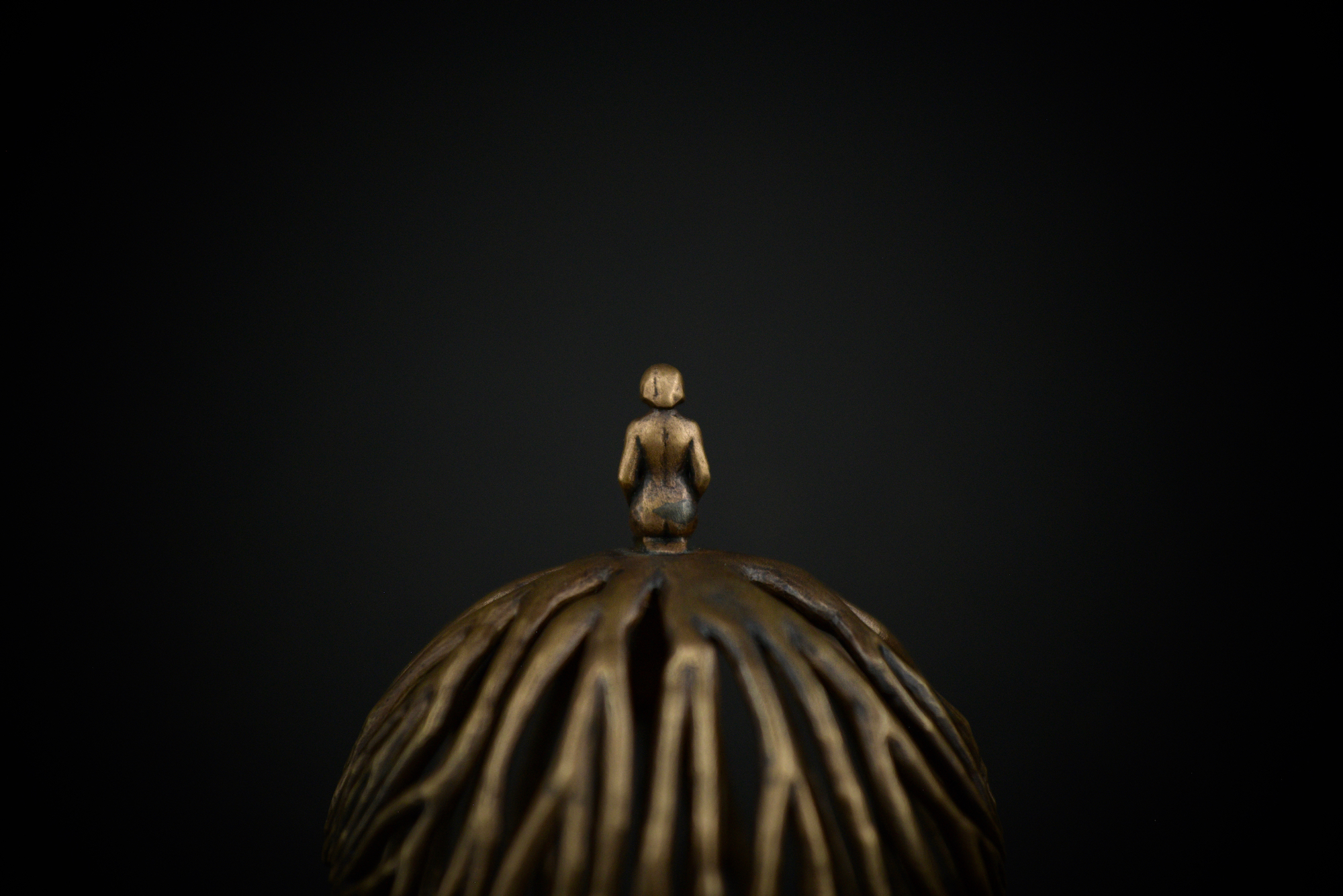Roots — thumbnail 3