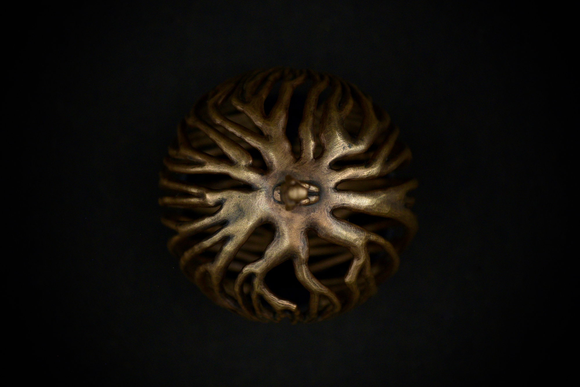 Roots — thumbnail 2