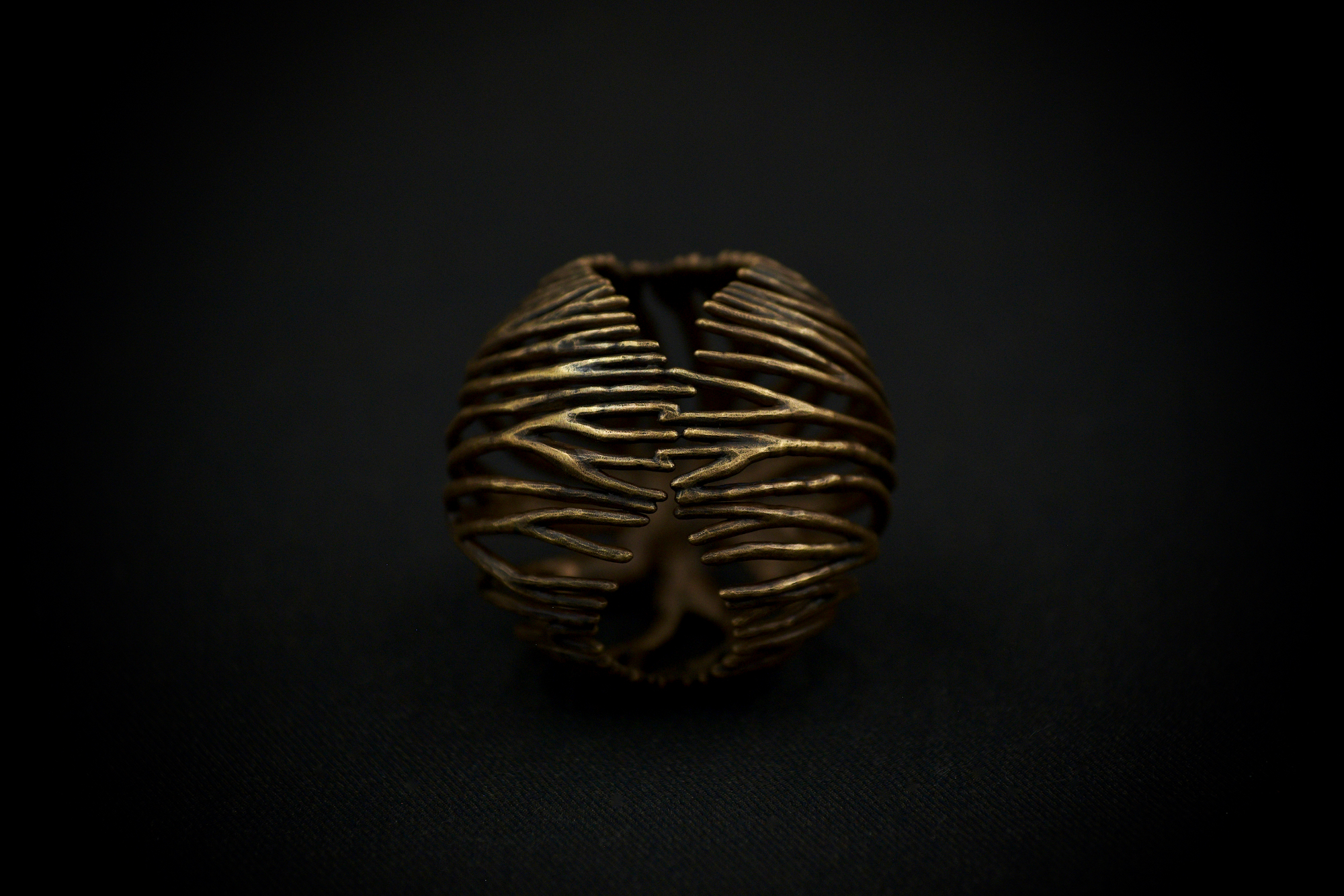 Roots — thumbnail 6