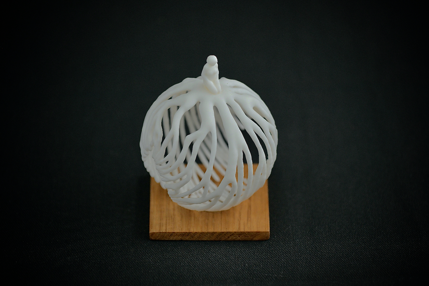 Roots — thumbnail 7