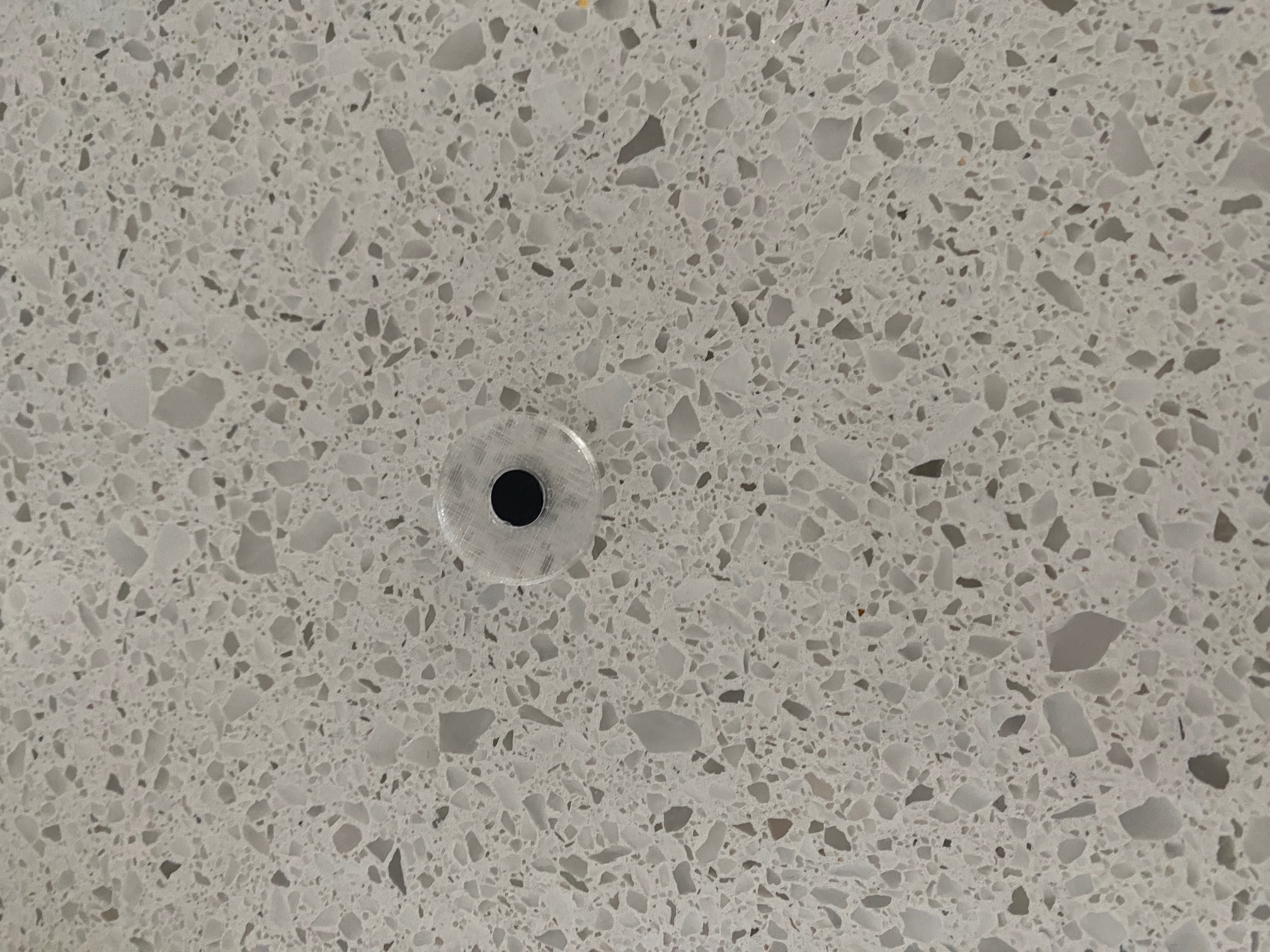 hedgehog eyes